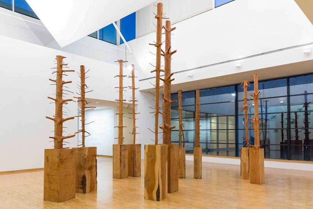 のインスタグラム：「"Giuseppe Penone" is now on view at the Stiftung Saarländischer Kulturbesitz in Saarbrücken, Germany.  Penone’s aesthetics are based on a dialogue with nature and its forces and revolve around the question of the limits of one’s own body and perception. Included in this eponymous exhibition is the multipart expansive sculpture "Coteccia" (1983), which is presented in Germany for the first time. Learn more via the link in our bio! ___________ #GiuseppePenone #Gagosian @modernegalerie Giuseppe Penone, "Ripetere il bosco (To Repeat the Forest)," 1969–97 © Giuseppe Penone/2019 Artists Rights Society (ARS), New York/ADAGP, Paris. Photo: Archivio Penone」