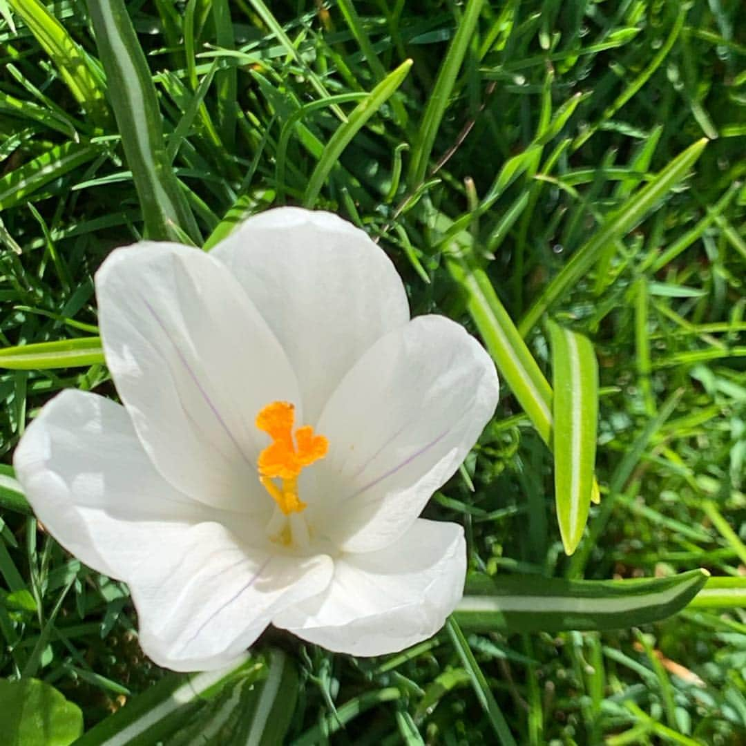 ミランダ・カーさんのインスタグラム写真 - (ミランダ・カーInstagram)「Hello beautiful 😍🌈🌼」4月16日 4時17分 - mirandakerr