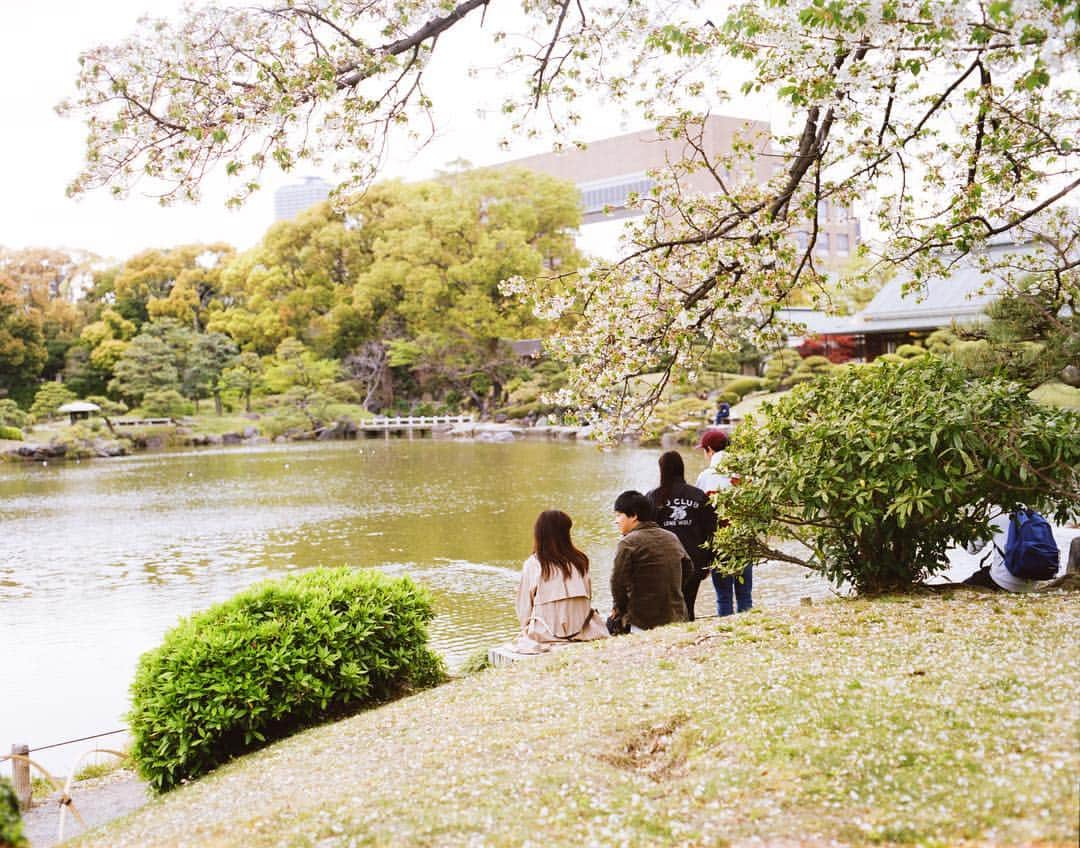 田島貴男さんのインスタグラム写真 - (田島貴男Instagram)「4月のスナップ #フィルムカメラ #pentax67ii #smctakumar6790mmf28  #lomography100 #portra400」4月16日 4時21分 - tajimatakao