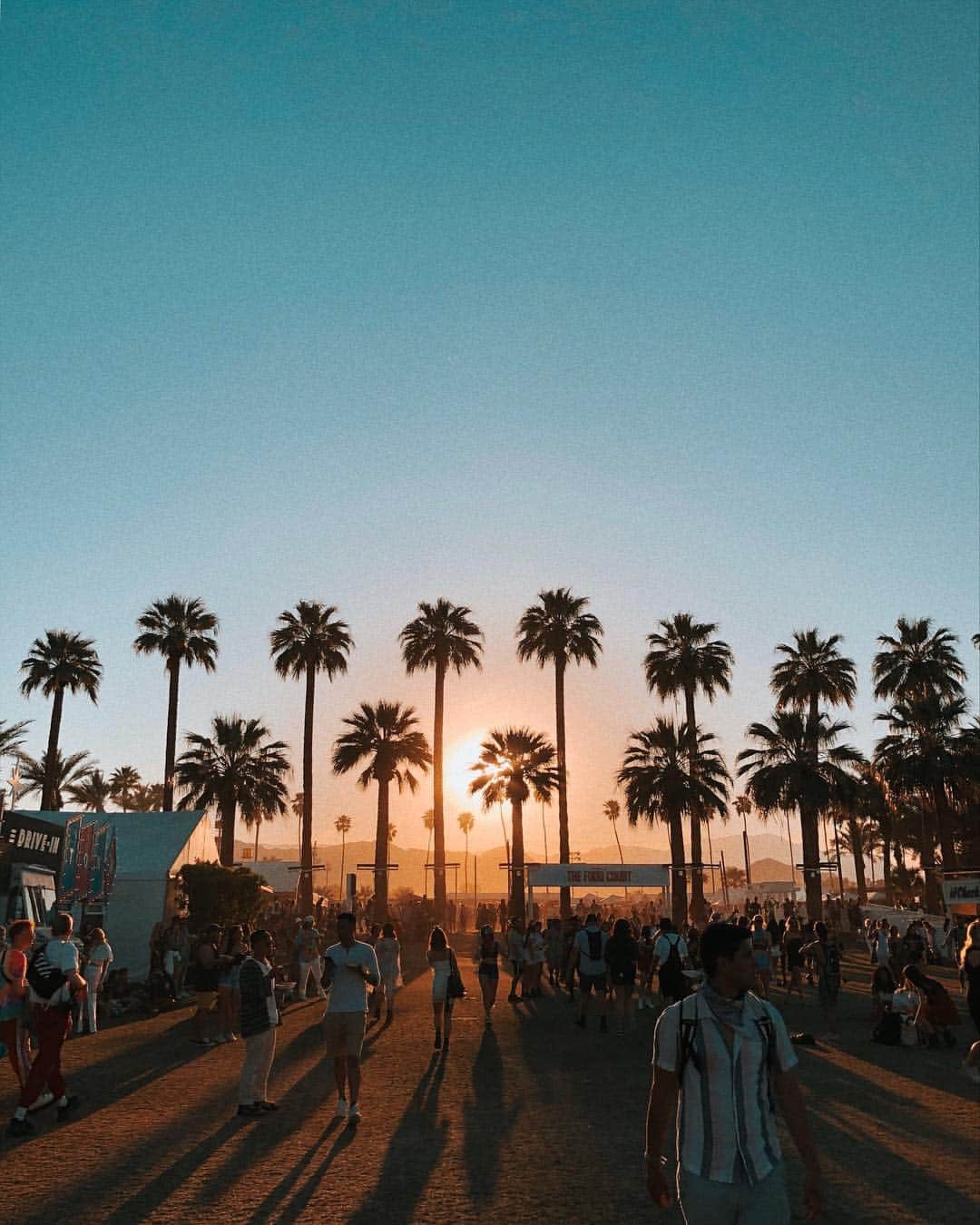のインスタグラム：「🎵 “When the sun goes down and the band won't play, I'll always remember us this way” 🎵 🌴 #aStarIsBorn #coachella #ThankYou」