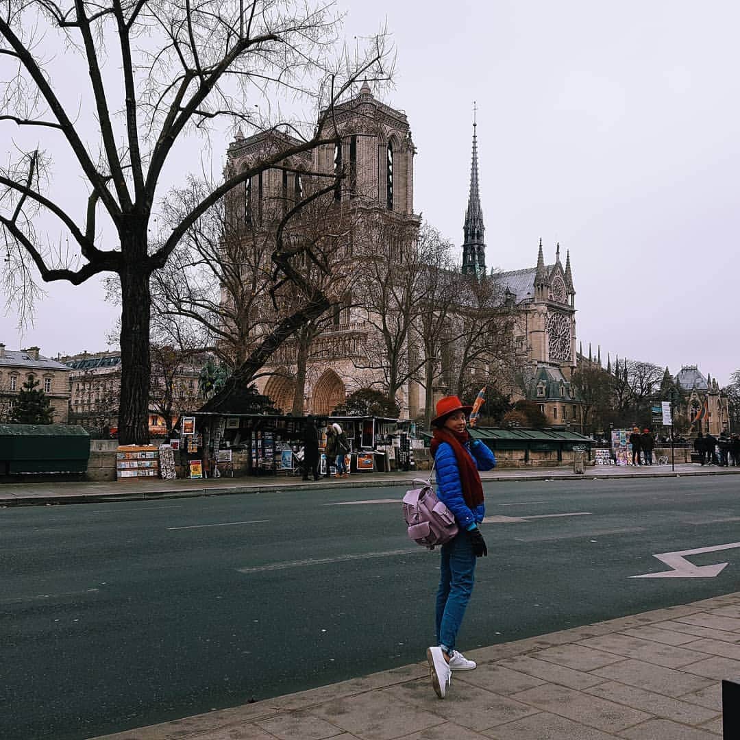 メリティナ・スタニウタさんのインスタグラム写真 - (メリティナ・スタニウタInstagram)「#Notredame a Paris n flammes 😱 Quel Malheur 💔  #cannotbelieve」4月16日 4時48分 - melitinastaniouta