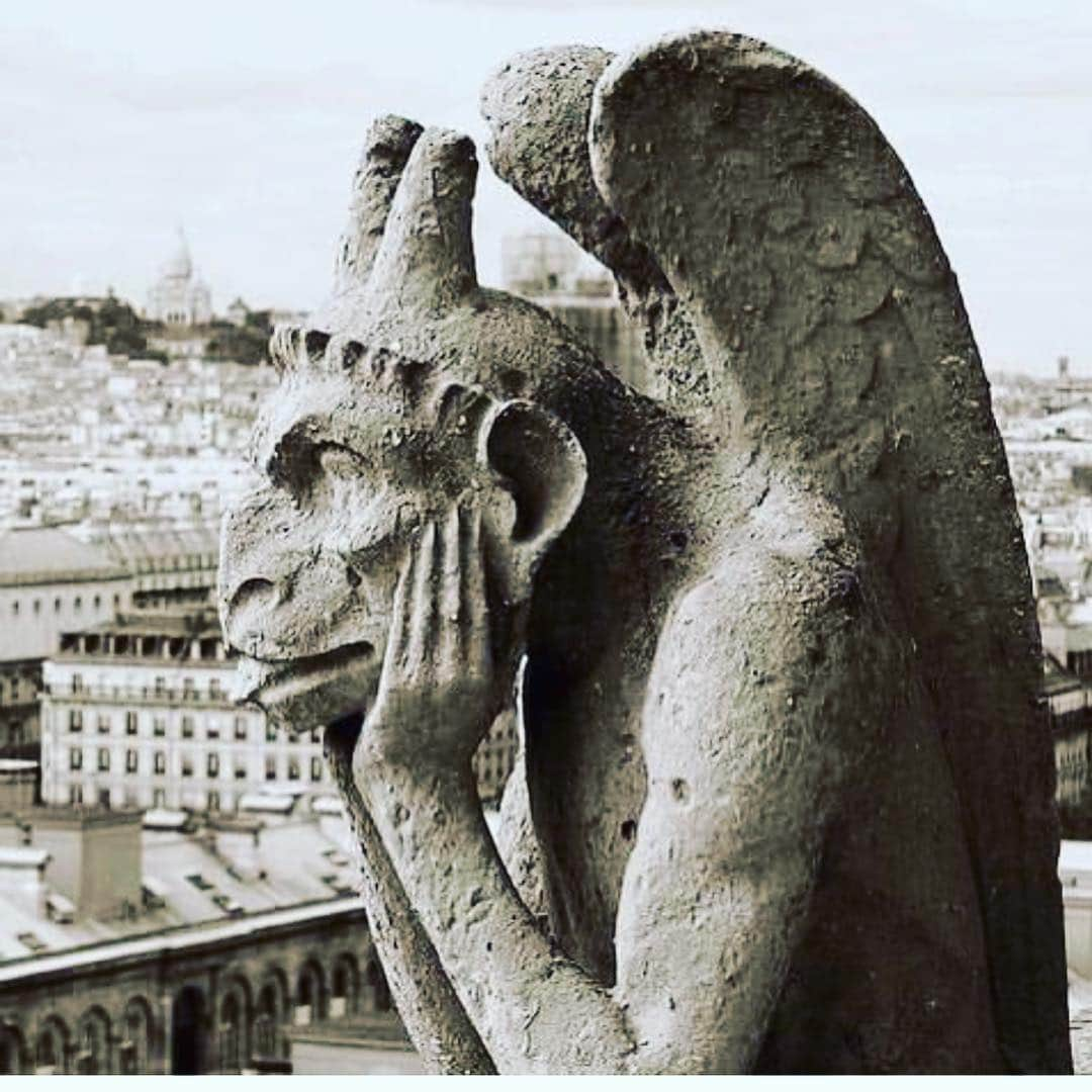 オリヴィエ・ザームさんのインスタグラム写真 - (オリヴィエ・ザームInstagram)「SAD DAY FOR PARIS. BUT LETS RECONSTRUCT NOTRE DAME QUICKLY. OZ」4月16日 4時56分 - ozpurple