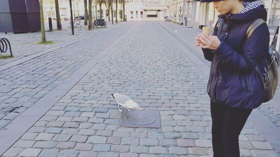 竹澤汀さんのインスタグラム写真 - (竹澤汀Instagram)「カモメにアイスをせがまれる竹澤。ついてくるカモメ。  #denmark🇩🇰 #旅ログ #traveler #旅 #mgwtkzw #journey」4月16日 5時11分 - migiwaaaaaaaaaa