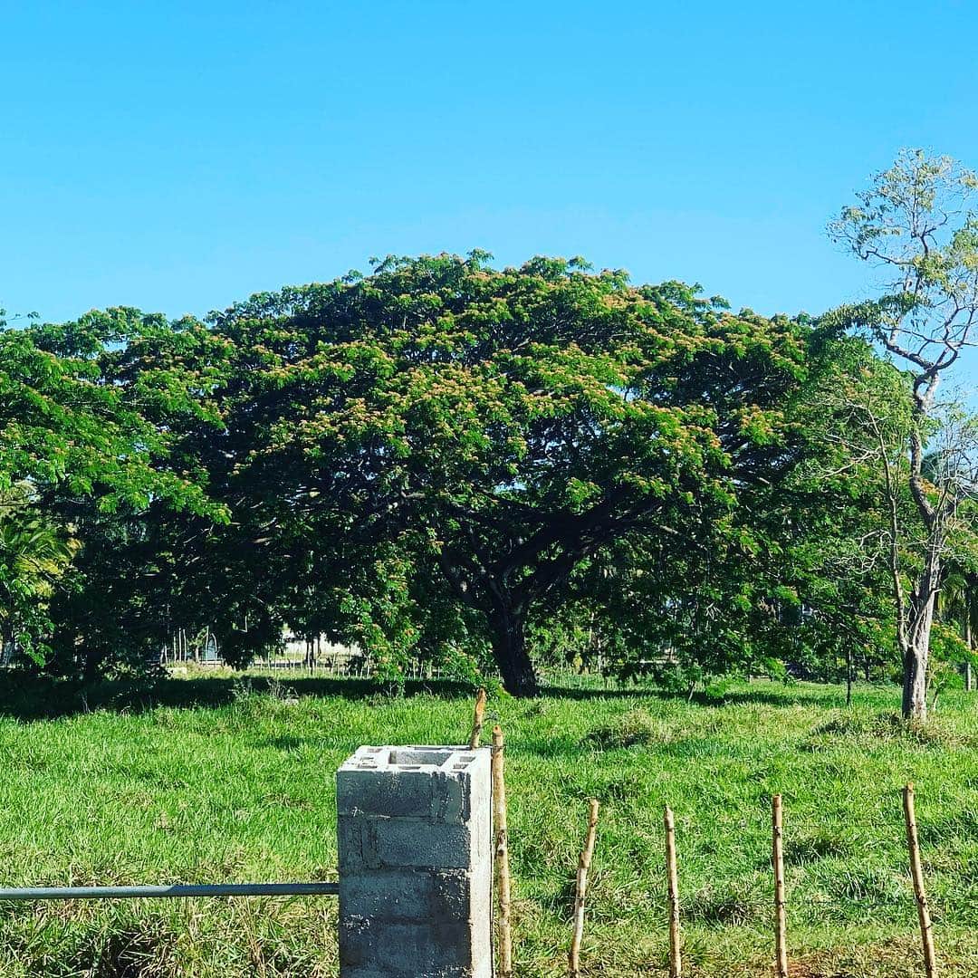 のインスタグラム：「#haciendavistalinda」