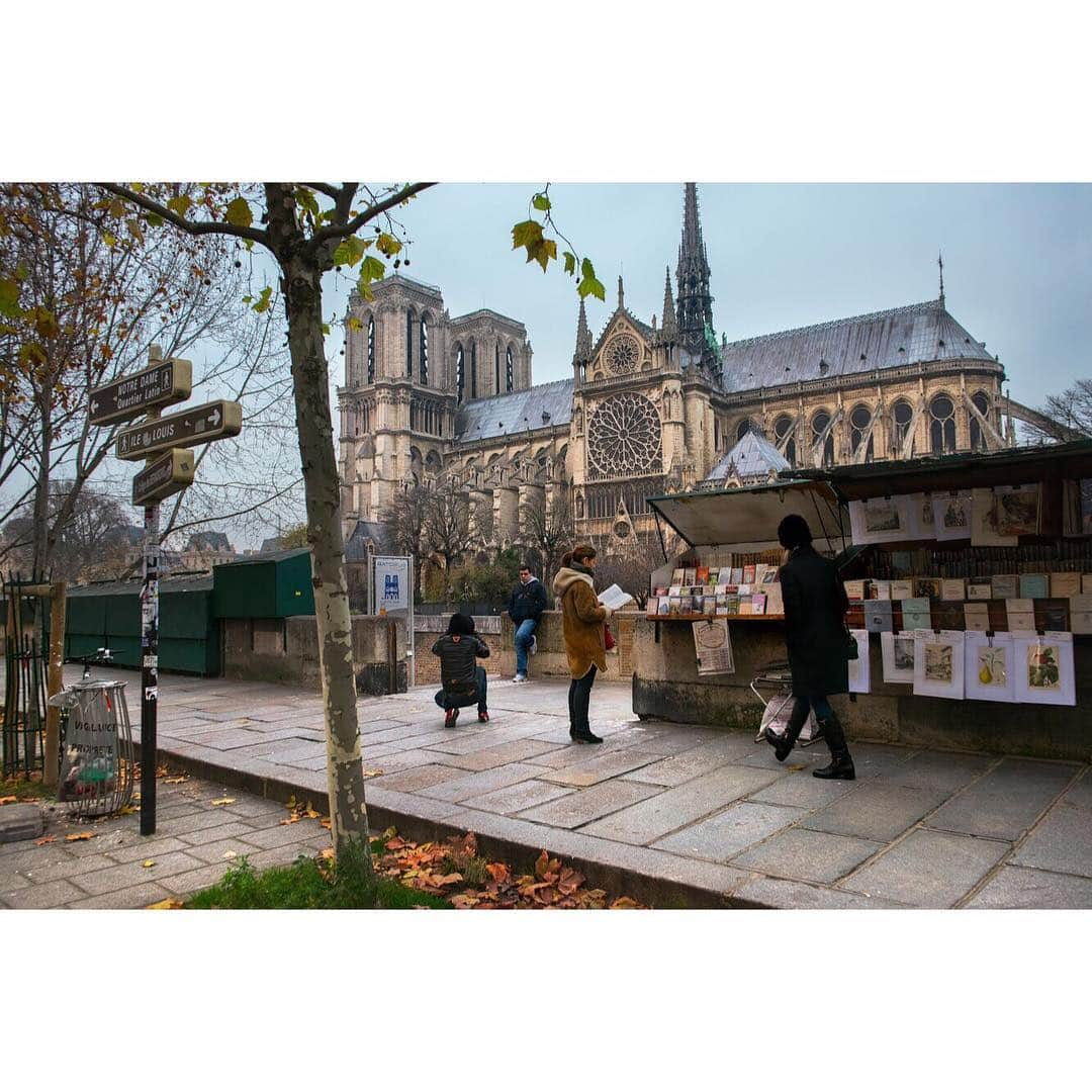 スティーブ・マカリーさんのインスタグラム写真 - (スティーブ・マカリーInstagram)「"Every stone of this venerable pile is a page of the history not only of the country, but of science and of art." - Victor Hugo.  Mourning the loss of this sacred cathedral and what it means to the French and to the entire world. #Paris, #France, 2015.」4月16日 5時35分 - stevemccurryofficial