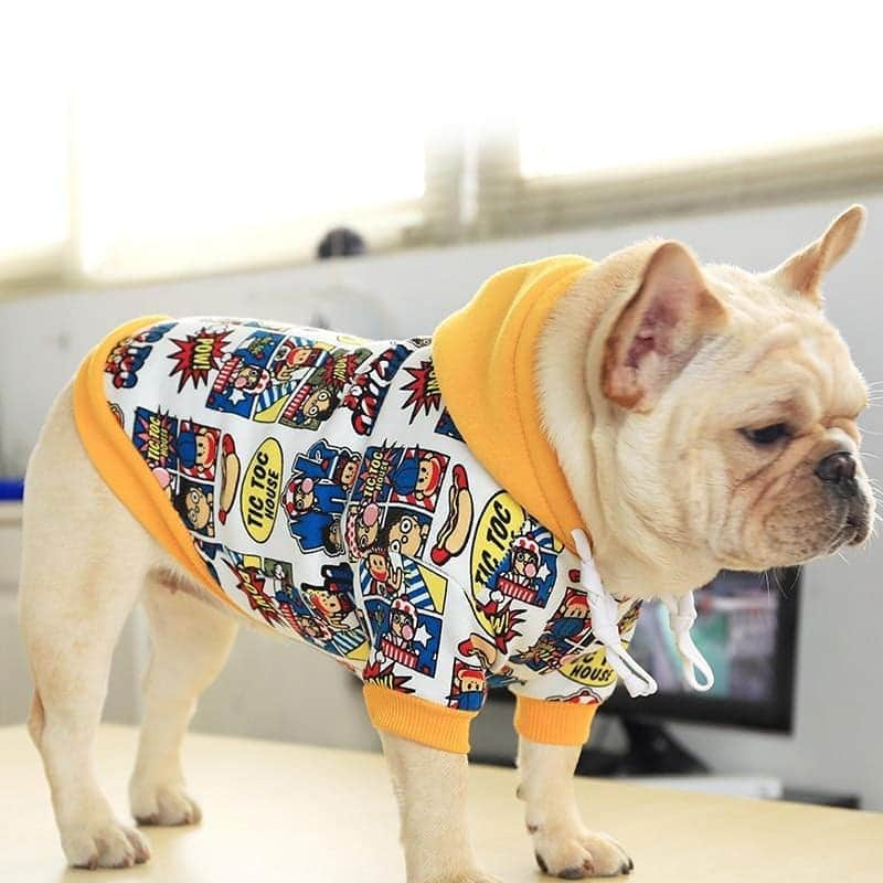 French Bulldogさんのインスタグラム写真 - (French BulldogInstagram)「Your Frenchie will look adorable in his new French Bulldog Comic Hooded Sweater! .⠀ . ⠀ .⠀ .⠀ .⠀ #bulldoglovers #bullylife #buhistagram #frenchielove #프렌치불독 #frogdog #frenchbulldogsofinstagram #frenchbull#frenchy #frenchiestagram #bullypics #bullylove#bulldogram #frenchiepup #ブヒ #frenchiesofinstagram#bullies #bulldogfrances #french_bulldogs #frenchiephotos#フレブル」4月16日 5時40分 - frenchie.world