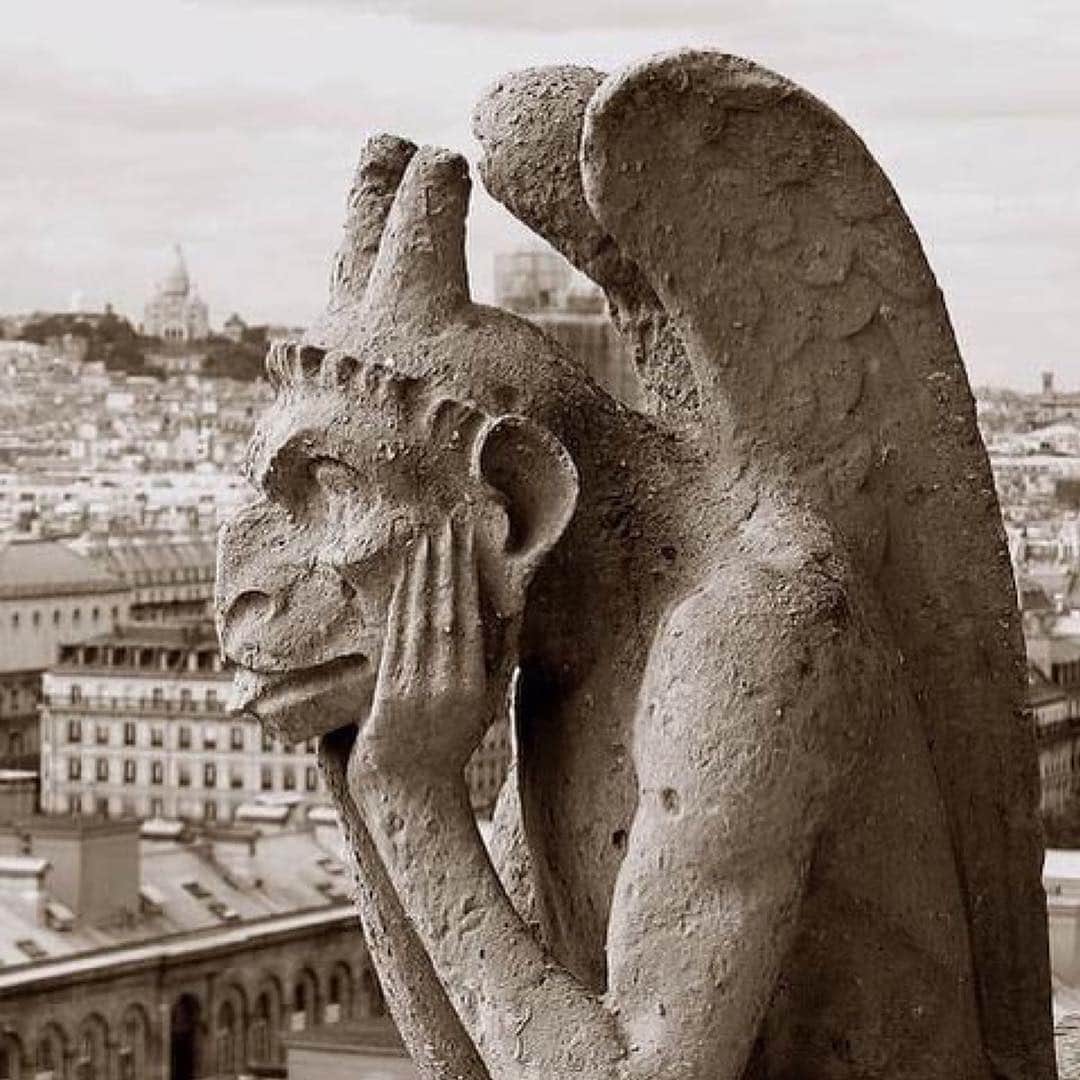 エイミー・セダリスさんのインスタグラム写真 - (エイミー・セダリスInstagram)「#Repost @jerrysaltz ・・・ Notre Dame; Always on the back-roads by the rivers of my memory that keeps you ever gentle on my mind .... Pic from @damien_kempf」4月16日 7時11分 - amysedaris