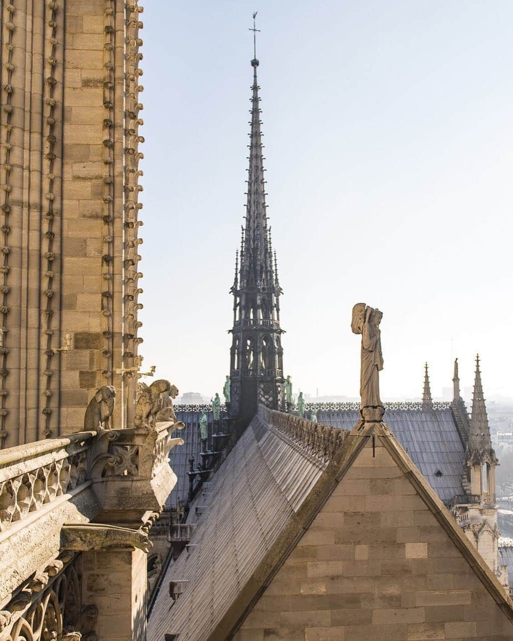 National Geographic Travelさんのインスタグラム写真 - (National Geographic TravelInstagram)「Photo by @KristaRossow | In 2015 I toured Notre Dame Cathedral and went onto the rooftop where I was eye-to-eye with gargoyles and the famed belltowers and spire. Unfortunately, a fire broke out Monday evening on the cathedral's rooftop, which had been undergoing reconstruction, and the spire and part of the rooftop have collapsed. Our hearts go out to #Paris for the damage to this beloved French icon. #NotreDame」4月16日 7時19分 - natgeotravel