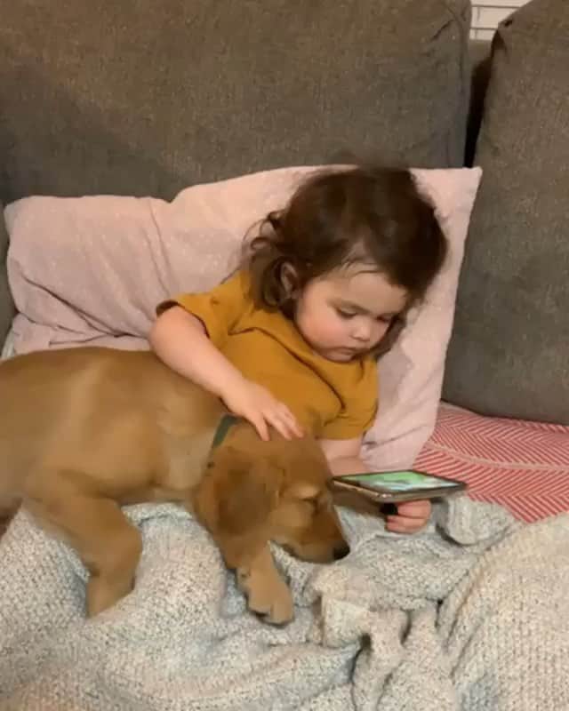 DogsOf Instagramのインスタグラム：「“This might be a little too cute...” writes @winnielovesjack  #dogsofinstagram」