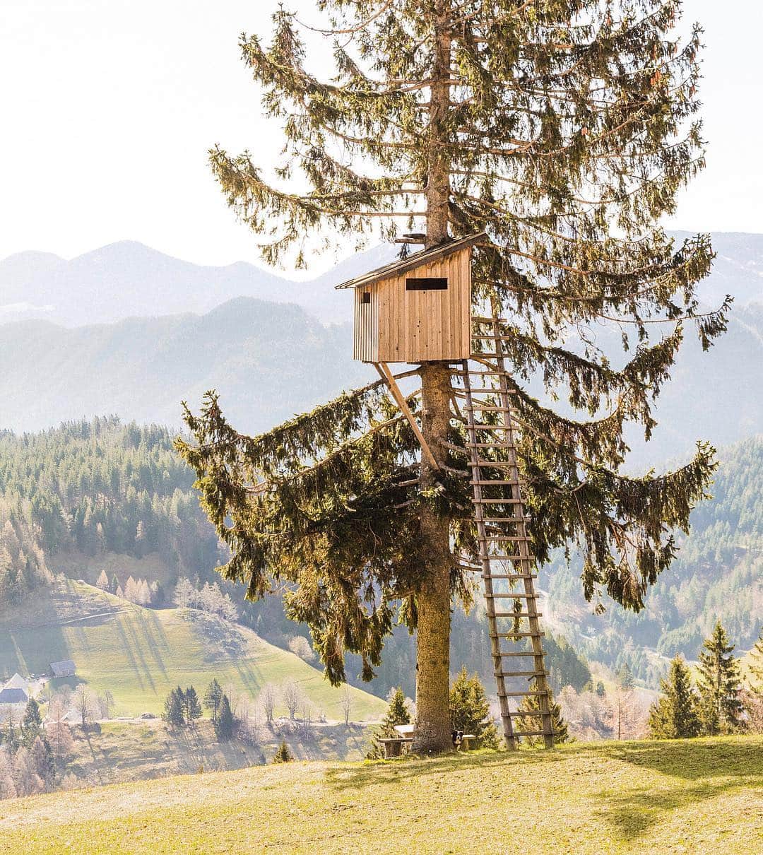 Andrew Knappさんのインスタグラム写真 - (Andrew KnappInstagram)「Find Momo one year ago today, in Slovenia, at a (huge) tree house.  I was driving through the mountains after visiting lake Bohinj and pulled over to eat lunch. I looked up at this treehouse. I climbed inside and found nothing but a pop can, a lighter, and an amazing view. I thought I should hide Momo in the treehouse. Truly that would have made a better photograph. But it was dangerous to carry him up, and he wouldn’t have liked being up there alone. So, this photo now lives in our book, Find Momo Across Europe, which I’ve heard you’re enjoying. 📖」4月16日 7時46分 - andrewknapp