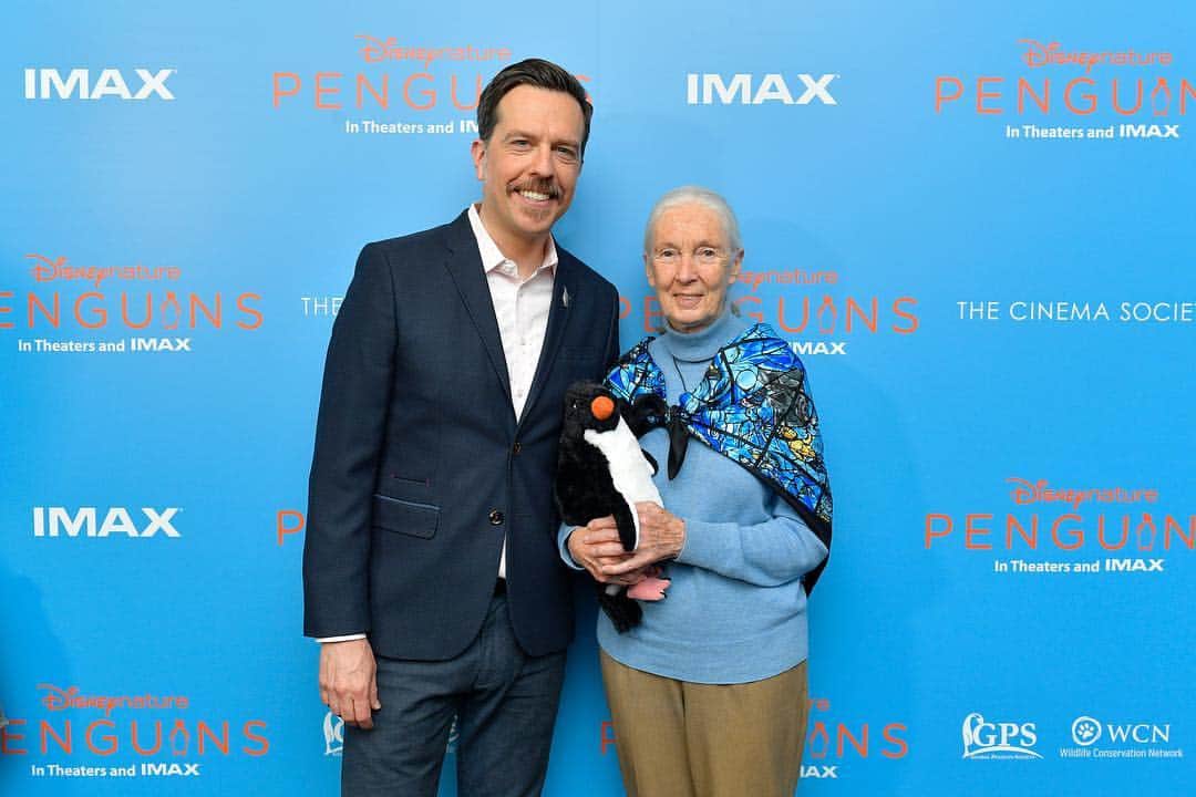 Disneyさんのインスタグラム写真 - (DisneyInstagram)「Ed Helms, Jane Goodall, and more guests had an ice time at a special screening of #DisneynaturePenguins, in theaters Wednesday. 🐧」4月16日 7時53分 - disney