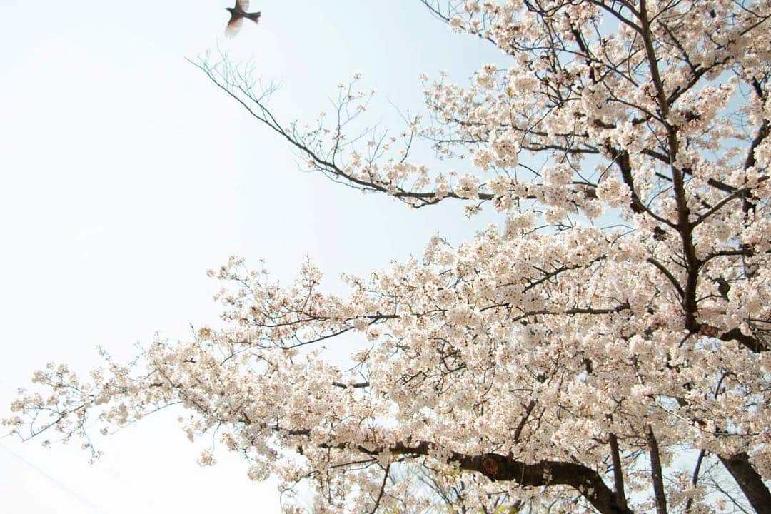 笹塚駅のパン屋さん オパンのグルメインスタ