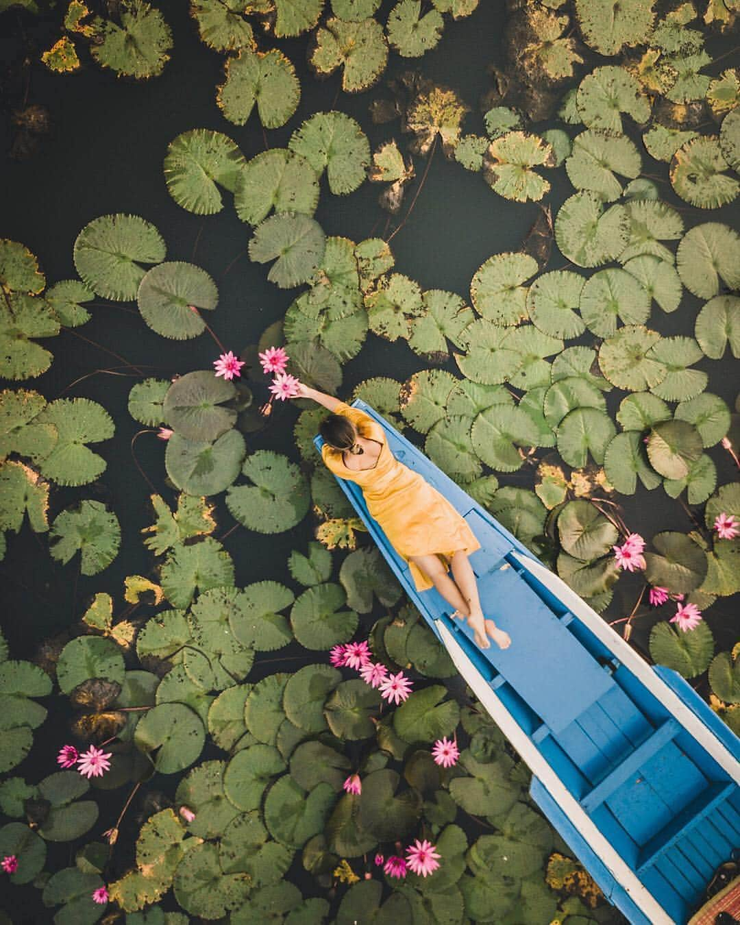 Instagramさんのインスタグラム写真 - (InstagramInstagram)「“That morning had such a calm and peaceful vibe,” says Bettina Halas (@bettina___h), a photographer of Thai and German descent who is pictured on a lake near her hometown in Thailand. “You visit this place during sunrise and all the flowers start opening, so together with the flowers I soaked in the first sun rays.” Follow along as we share more of our favorite submissions to last weekend’s hashtag project, #WHPvibes Photo by @bettina___h」4月16日 8時00分 - instagram