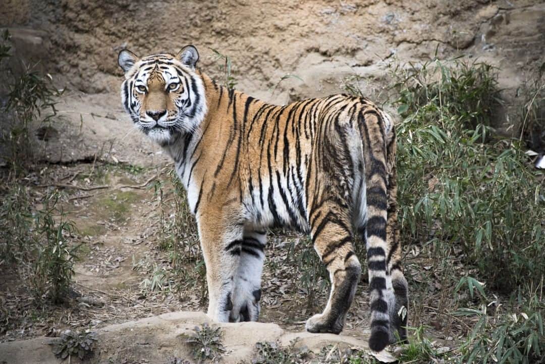 東京都庁広報課のグルメインスタ