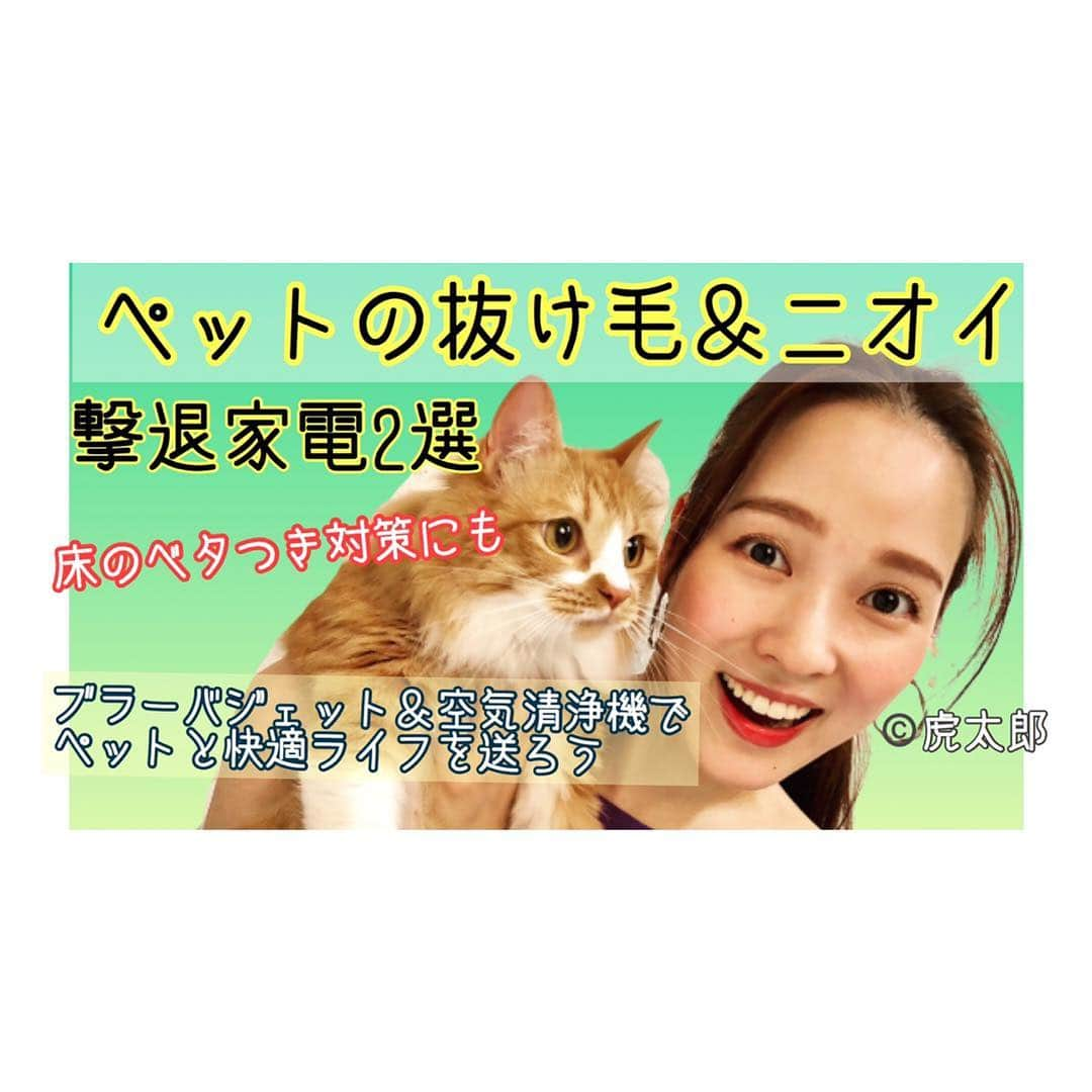 奈津子さんのインスタグラム写真 - (奈津子Instagram)「#奈津子の家電クリニック 投稿しました🌈今回はペットとの快適ライフを過ごすのにイチオシの家電！私のインスタのプロフィールから飛んでぜひチャンネル登録してね❤️🥰サムネは @tsudamarinal の愛猫ちゃんです！かわいい〜 ・ そして今夜18:10〜 東京FM #スカロケ 内「家電で快適！生活向上委員会」生出演📻21時からはテレビ東京 #なんでも鑑定団 茨城県へいってます！みてね✨ ・ #youtube #cat #dog #家電 #家電好き #家電女優 #東京 #奈津子 #ユーチューブ #猫 #犬 #ペット #ブラーバジェット #ラジオ」4月16日 17時26分 - natsuko_kaden