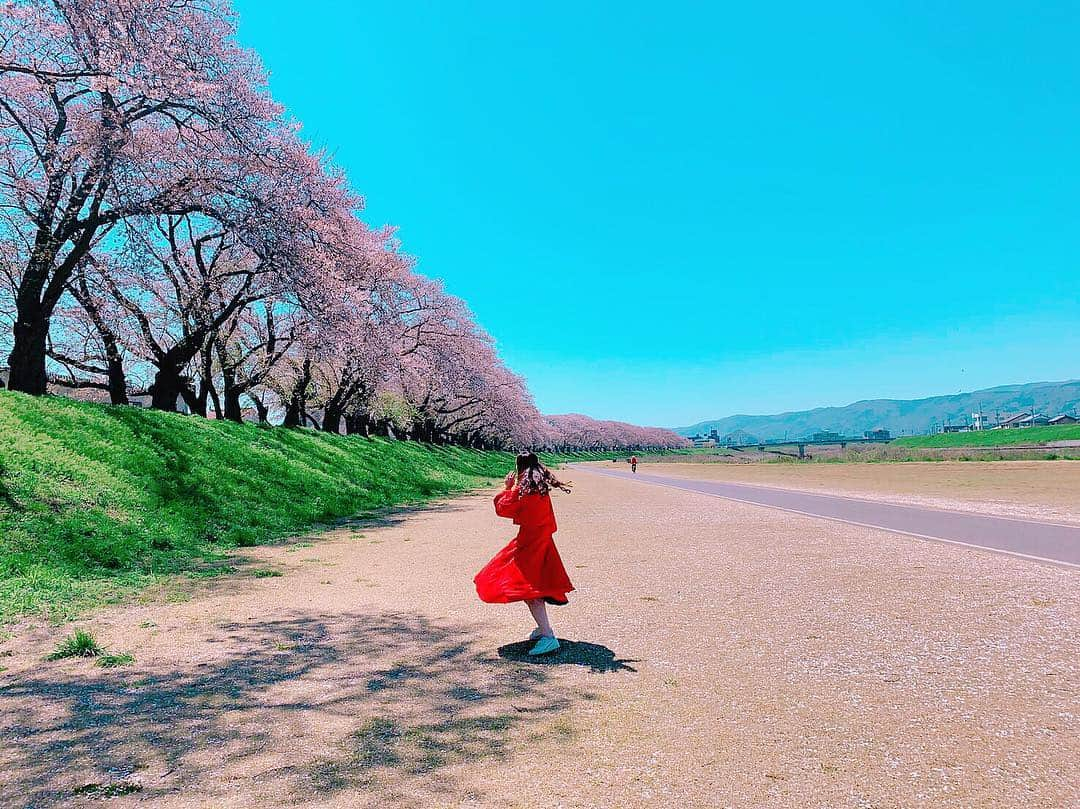 平野ノラさんのインスタグラム写真 - (平野ノラInstagram)「福井県、素晴らしい！  #福井県 #美味しいものがたくさん  #最近 #パープルメイク #ハマり中 #おったまげ #おじゃまっテレ #フライデー #ロケ中 #福井県 #平野ノラ #okバブリー」4月16日 17時57分 - noranoranora1988