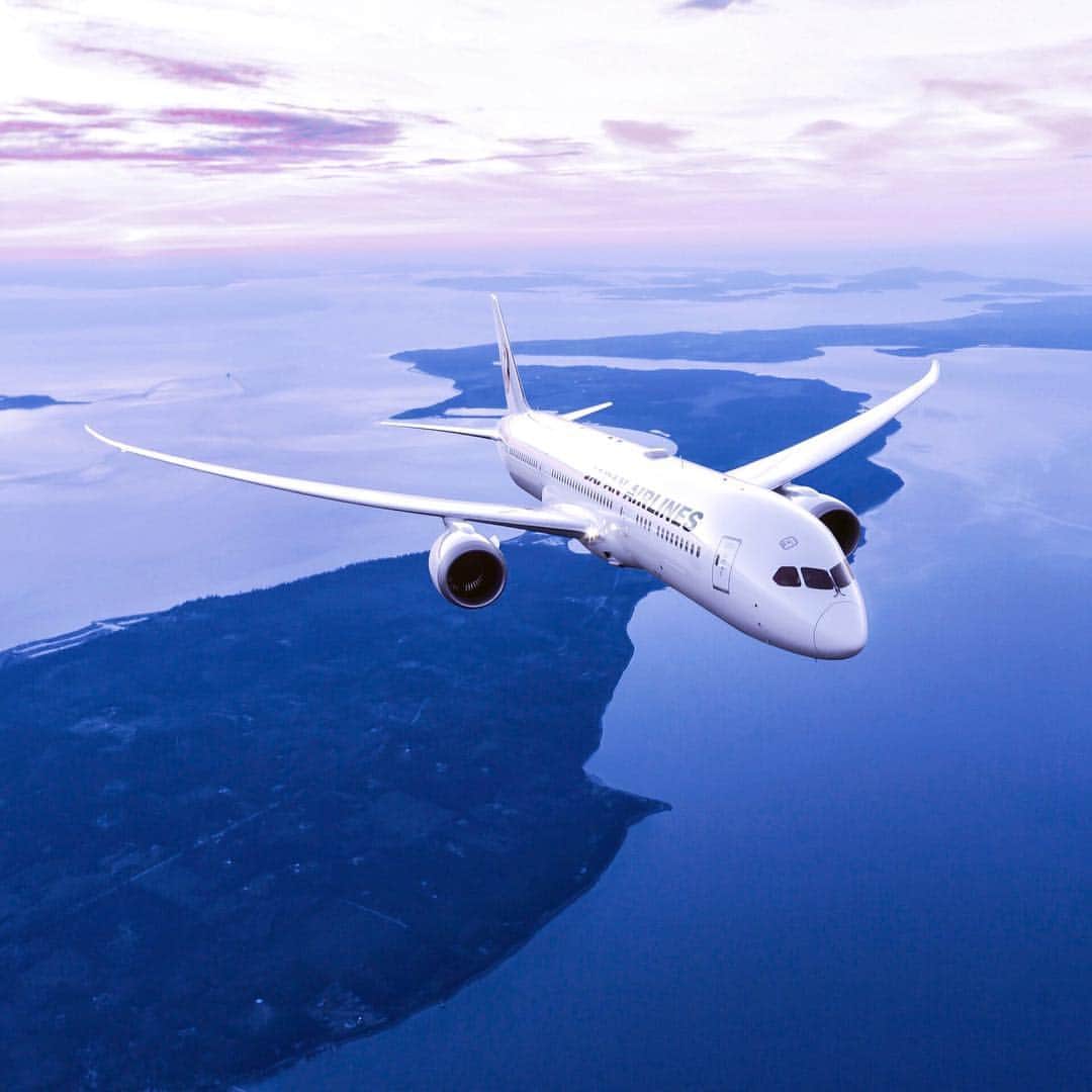 のインスタグラム：「⠀ Thoughts on the beautiful view below? Please share with us in the comments. ✨ #JAL #MyAprilAdventure⠀ ⠀ 「絶景」と聞いて、どこを思い浮かべますか？🌏✈︎⠀ コメントで教えてください✨⠀ .⠀ .⠀ Post your memories with #FlyJAL⠀ ⠀ #JapanAirlines ⠀ #travel #airplane #awesome_earthpix #magicalmoment」