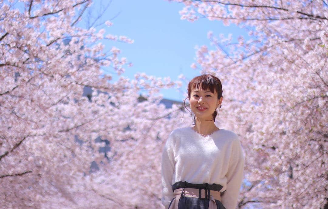 高橋真理恵さんのインスタグラム写真 - (高橋真理恵Instagram)「＊ 先日、村西先輩（@riemuranishi）に、 いいカメラで 写真を撮ってもらいました🌸  どんどん楽しくなってきて、 最後は大好きな #ゆりやんレトリィバァ さんを意識したポーズをさせてもらいました😊  #桜#公園#カンテレ#扇町公園」4月16日 17時53分 - marie___takahashi