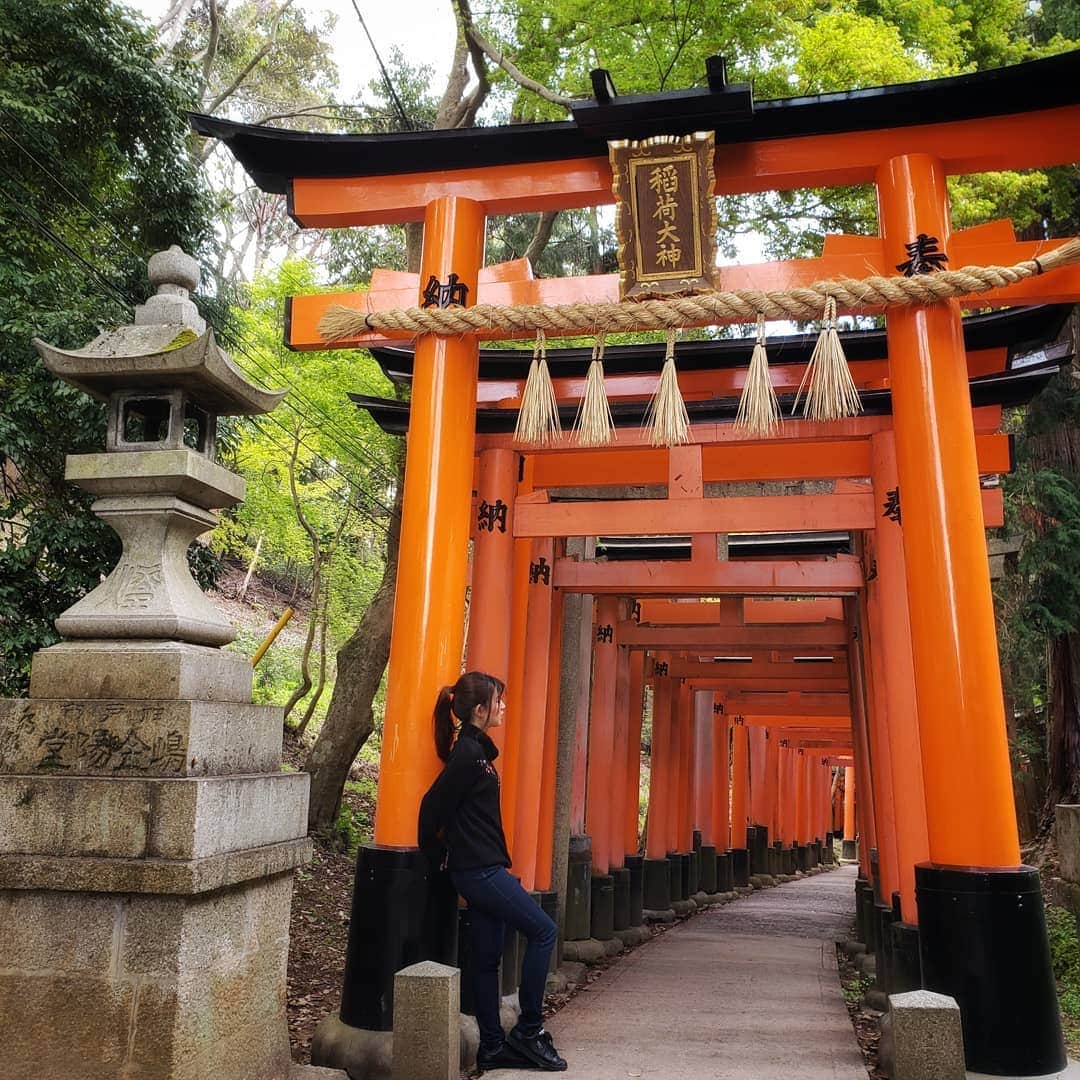 のインスタグラム：「･ ⛩️⛩️⛩️ 朱塗りの鳥居がずらりとならぶ 京都 伏見稲荷大社へお参り✨ ･ ･ 京都には何度も来てるのに 観光は中々できないから 合間の時間でふらっと立ち寄ってみました🙌🙌 ･ 江戸時代以降に、願いごとが「通るように」または「通った」というお礼をこめて、鳥居を奉納する習慣が広まってできた千本鳥居😊 ･ ･ 今回は京都の街を一望できる四ツ辻まで✨✨ ･ 今度は稲荷山の頂上、一ノ峰までお山めぐりしてみたいな🌿🌿 ･ ･ #京都旅 #京都旅行 #旅行 #京都 #伏見稲荷 #縁結び  #京都観光 #伏見稲荷大社 #千本鳥居 #そうだ京都行こう #京都さんぽ#京都一人旅 #御朱印#御朱印ガール #御朱印帳 #kyoto#travelphotography #travelgram #galaxy」