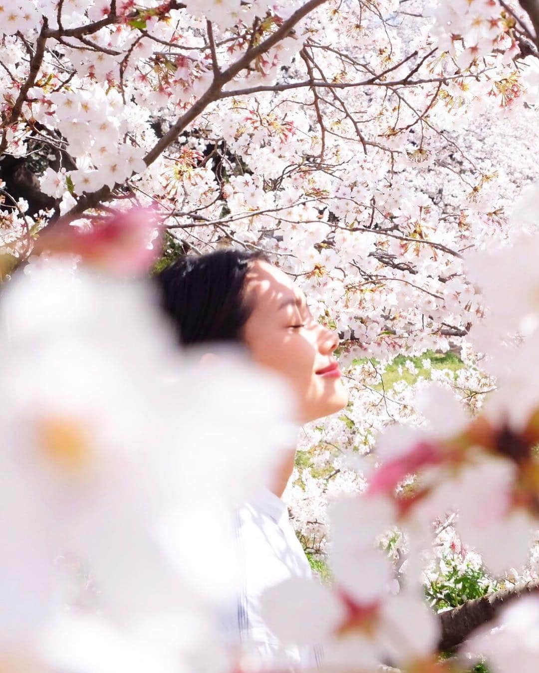武智志穂さんのインスタグラム写真 - (武智志穂Instagram)「またね。 また会える日までね！ 本当に、ありがとう。」4月16日 18時13分 - shiho_takechi