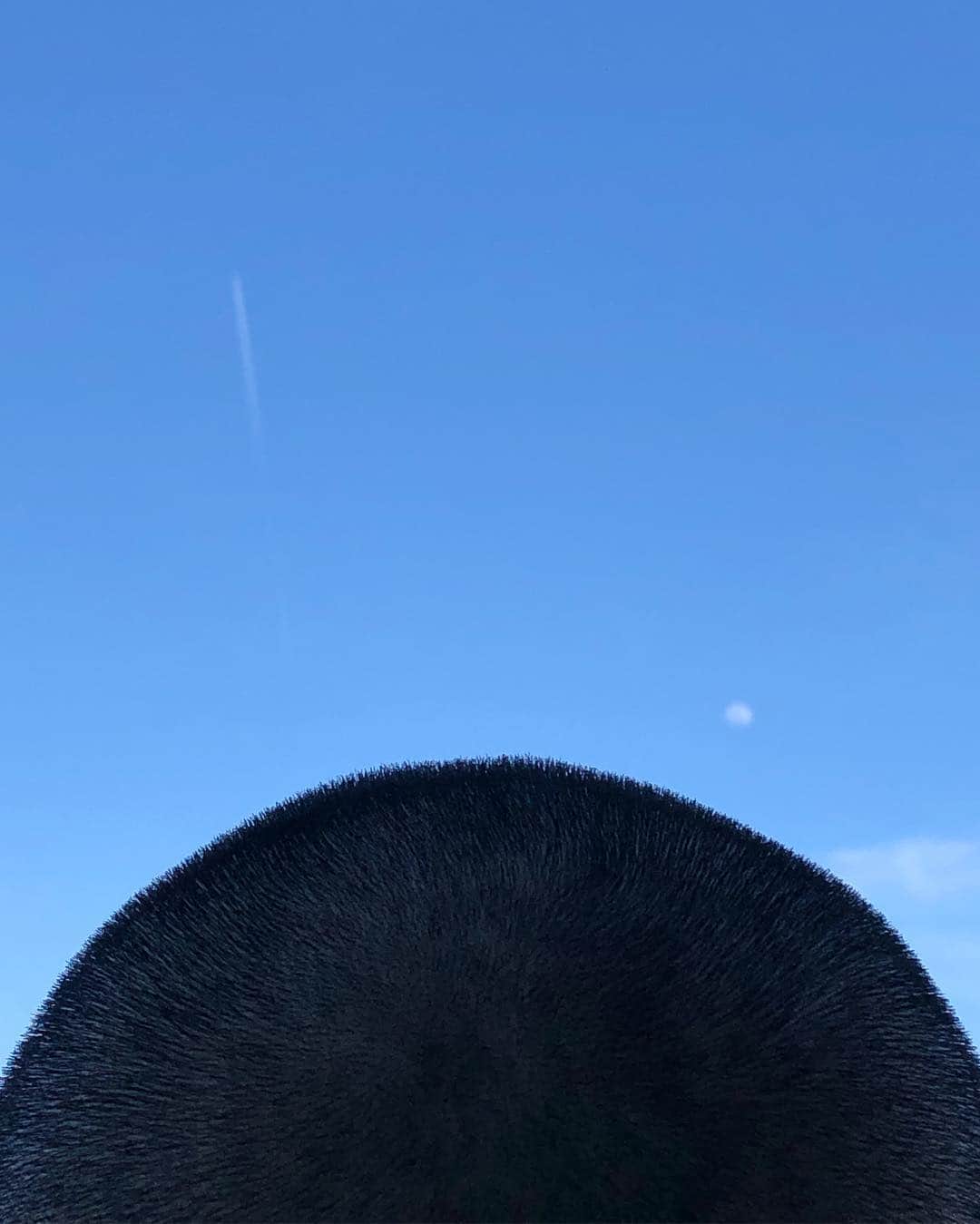 バンザイのグルメインスタ