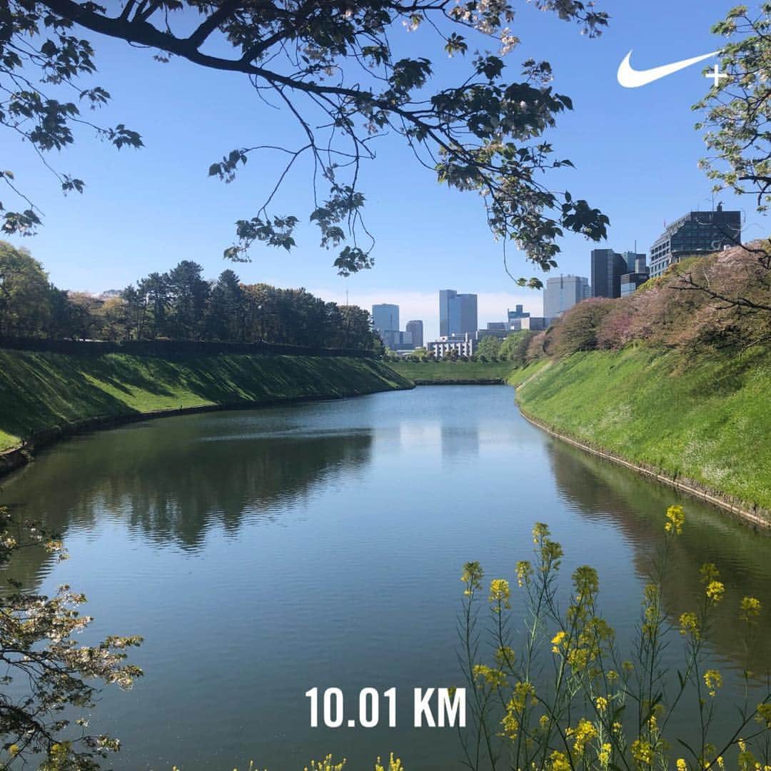 のインスタグラム：「下半身筋肉痛のランニング久しぶりにまじでキツかった🤣🤣 #皇居#ランニング#外周#春晴れ#青空#ぽかぽか#景色最高#view#japan#spring#imperial#running#10k#niceweather#bluesky#greens#earth #そろそろインスタのタイトルが美しい日本の風景みたいな感じになってきた」