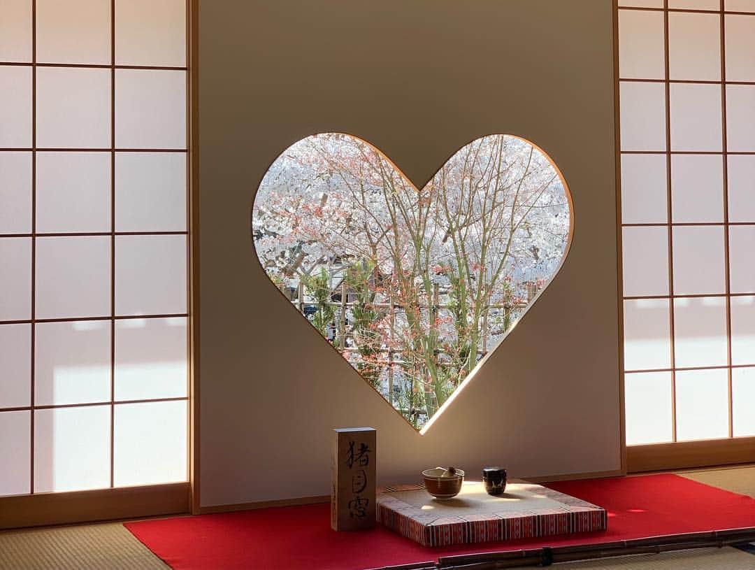 忍成修吾さんのインスタグラム写真 - (忍成修吾Instagram)「猪目窓❤️ とても良い雰囲気でした‼️ご本蔵、十一面観世音というのも好きです。 また四季折々の景色を見てみたいと思いました‼️ 久々に上賀茂神社にも御参拝⛩」4月16日 9時59分 - shugo_oshinari