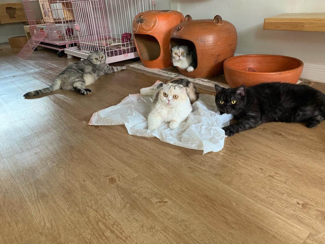 のインスタグラム：「Full team😻 ไม่ค่อยได้ลงรูปอัพเดท เด็กๆยังสบายดีกันเหมือนเดิมค่า^^」
