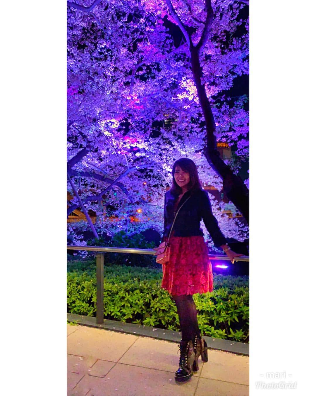 selfieneさんのインスタグラム写真 - (selfieneInstagram)「#夜桜  #綺麗だったね #一緒に見たい風景 #映え写真  #好きな時に好きな場所へ  自由を手に入れたい方はこちらへ @marigram_uu_」4月16日 11時04分 - marigram_uu_