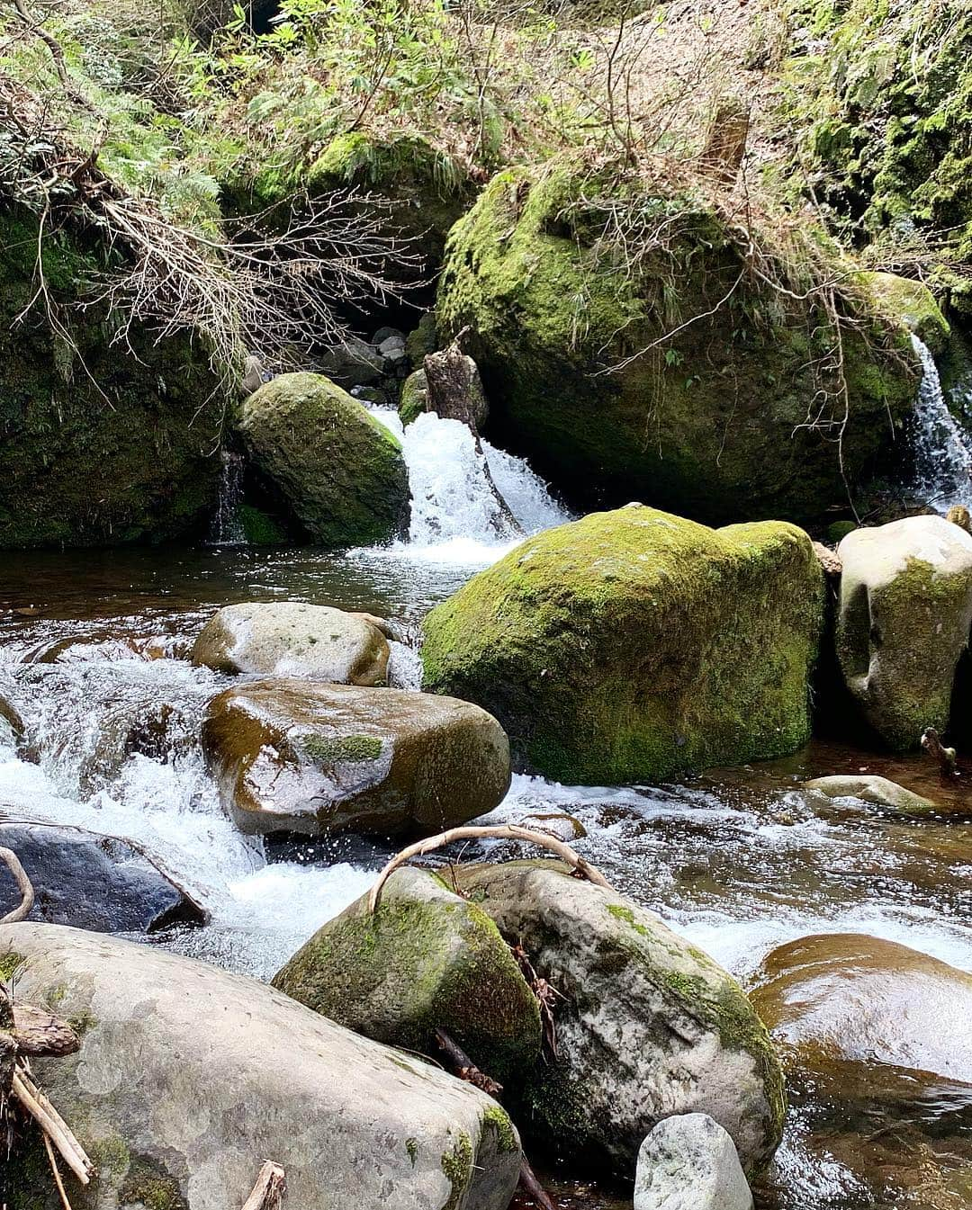 稲富菜穂さんのインスタグラム写真 - (稲富菜穂Instagram)「アサスマ探検隊ロケで 兵庫県にある秘宝の滝〝シワガラの滝〟行ってきました🏃‍♂️💨. . 昨日雨で滑りまくり☔️. 春ネイルが何本か居なくなりましたが、 そこに居るだけでパワーを貰えるような気持ちでした🙏🌈. . 太陽の反射やと思うけど、 iPhone Xのカメラで虹がクッキリ🌈✨. . #アサスマ探検隊 #ロケ #サンテレビ #兵庫県 #シワガラの滝 #秘宝の滝 #虹 #rainbow #素敵な場所でした #写真 #photo #iphonexs」4月16日 11時04分 - inatomi74