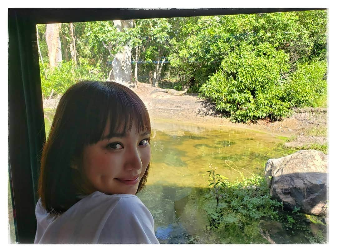 保坂玲奈さんのインスタグラム写真 - (保坂玲奈Instagram)「🐊 . ケアンズ最大の動物園 Hartley's Crocodile Adventuresの ボートクルーズで クロコダイルが🐔を食べようと している姿は迫力満点！ . ケアンズから車で 45分くらいで行けるよ🌺 ここの大部分は世界遺産に認定されている 森で熱帯雨林を感じながら楽しめる😆 . . . #HartleysCrocodileAdventures #ハートリースクロコダイルアドベンチャーズ #crocodilefarm #クロコダイルファーム #ボートクルーズ #れなお旅 #オーストラリア #Australia #ケアンズ #Cairns #ケアンズ大好き #クロコダイル #ワニ #ワニ園」4月16日 11時09分 - __renao_0707