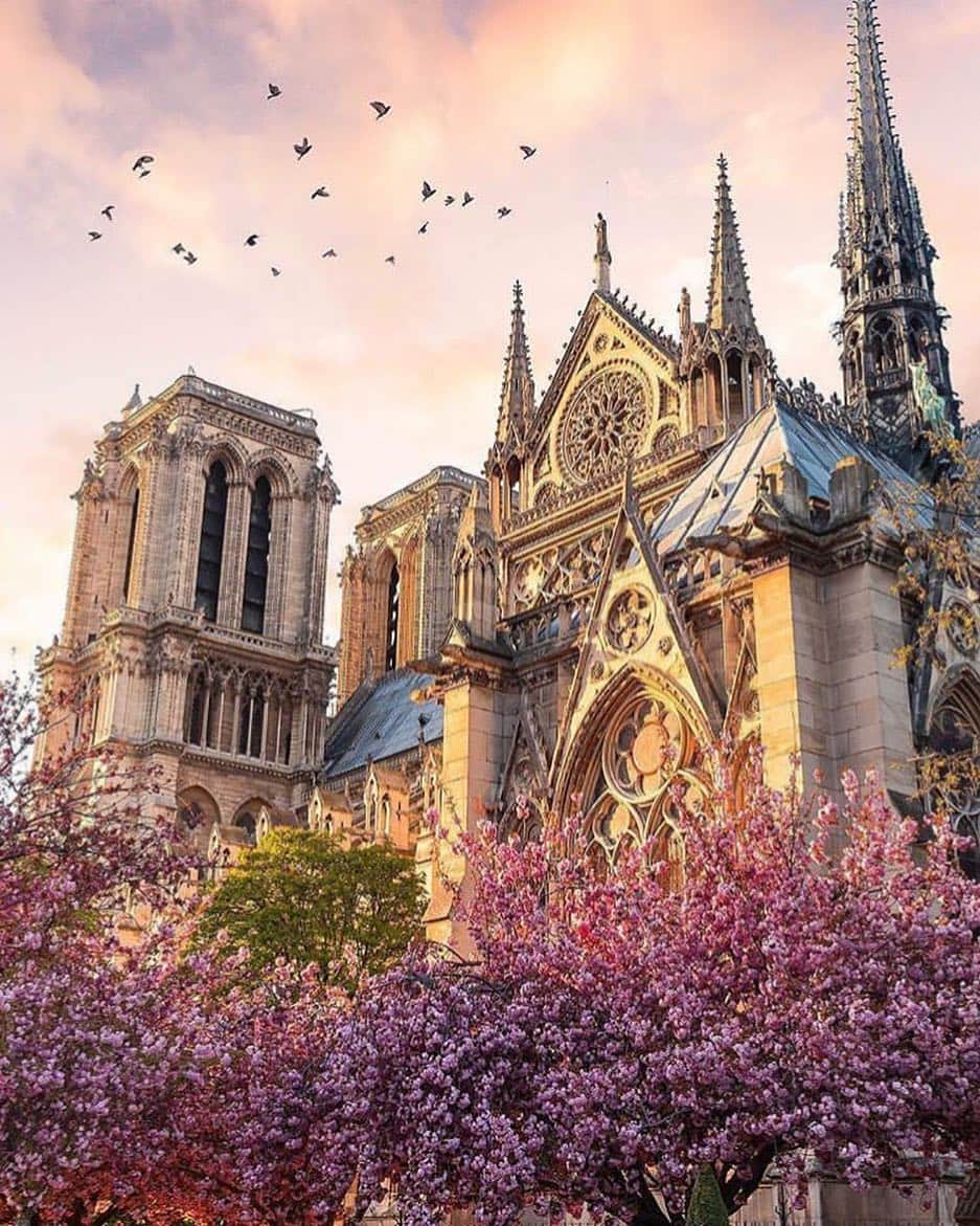 Inspirationさんのインスタグラム写真 - (InspirationInstagram)「Que tal olharmos a Catedral de Notre Dame de um ângulo diferente? Antes de toda a tragédia? É assim que queremos ela de novo, um dia! ❤️ #catedralnotredame. ____________ Foto: Saul Aguilar. @saaggo」4月16日 11時11分 - decorcriative