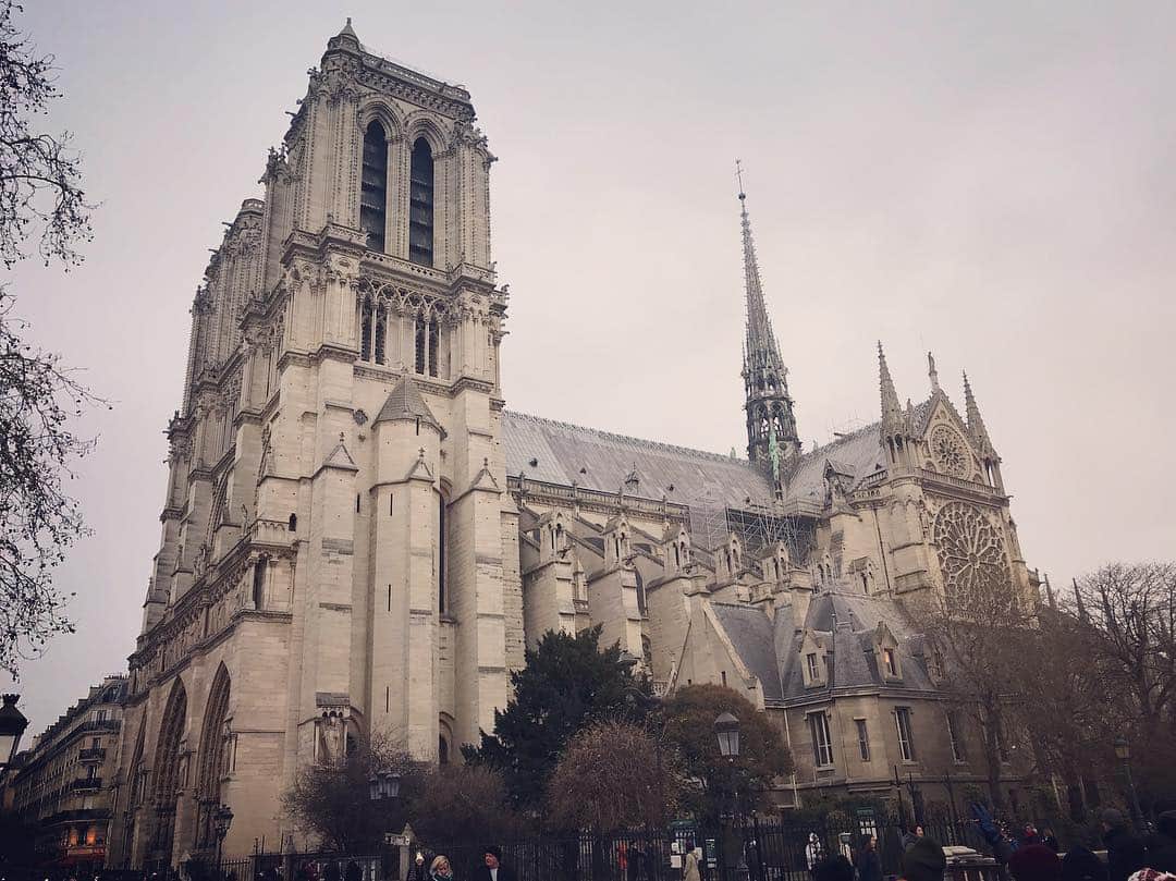 キャシー・リードさんのインスタグラム写真 - (キャシー・リードInstagram)「Notre Dame de Paris💔😢」4月16日 11時35分 - cmr2070