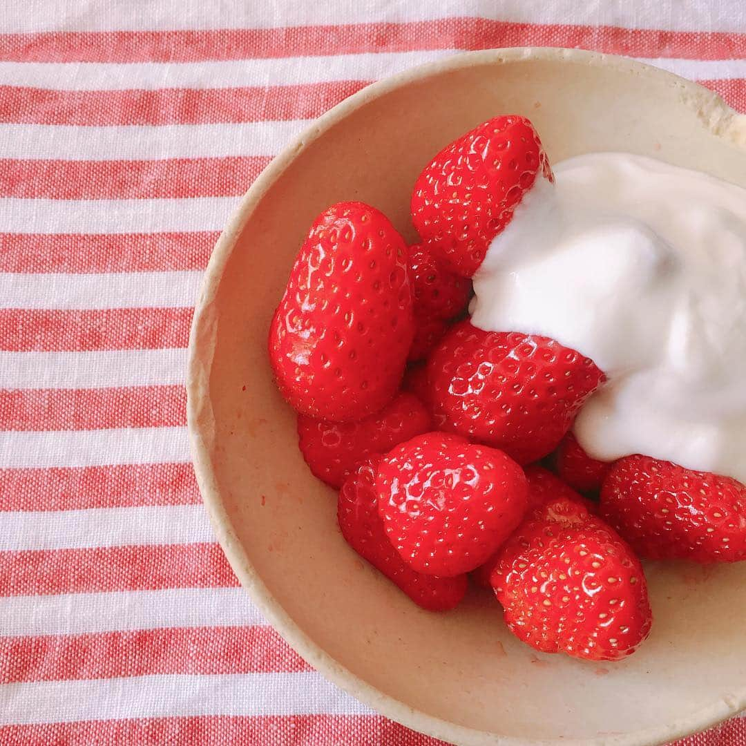 梅津有希子さんのインスタグラム写真 - (梅津有希子Instagram)「朝いちごヨーグルト、亜麻仁油トッピング。この時期は露地物かな。安いので半パック食べちゃうよ🍓#いちご #strawberry #fruits #morning」4月16日 11時49分 - y_umetsu