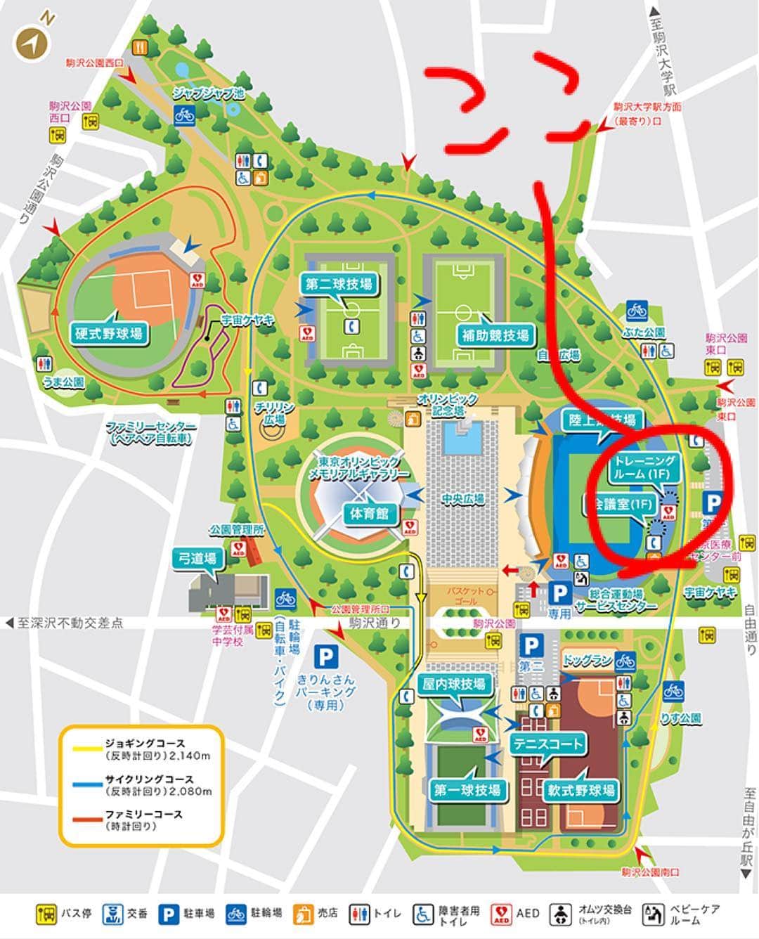 のインスタグラム：「🏃‍♂️お知らせ🏃‍♀️ 「 #松野井ランニング部 第1回チャリティーイベント」を実験的に開催👟💨 日時：5/12(日)13時 ※雨天決行 場所：駒沢公園 トレーニングルーム前の階段上広場 集合 参加費：1,000円以上 ※公益社団法人日本動物福祉協会に全額寄付します ※すぐに走れる状態で集合場所にお越しください ※あくまでも松野井ランニング部なので、走る以外が目的の方はご遠慮ください ※体調管理は各々で、全ては自己責任でお願いします (ちなみに、参加者全員にもれなく私からの参加賞もあります🎁) 追記あります👣 距離：4、5kmくらい ✔️事前申し込みなどはなく、当日直接集合場所にお越しください ゆっくりなペースで走ります❤️ お気軽にご参加ください😚」