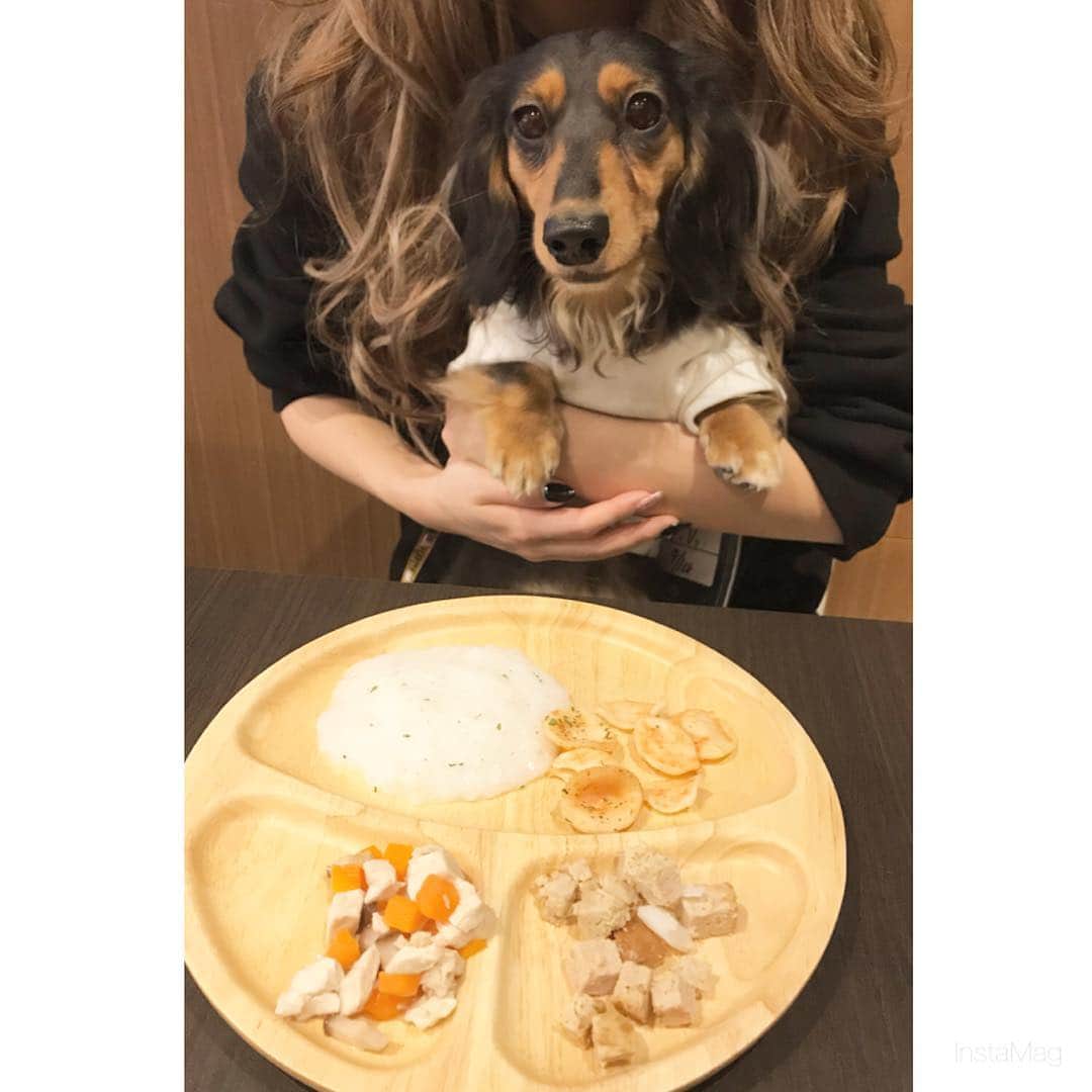 藤堂静華のグルメインスタ