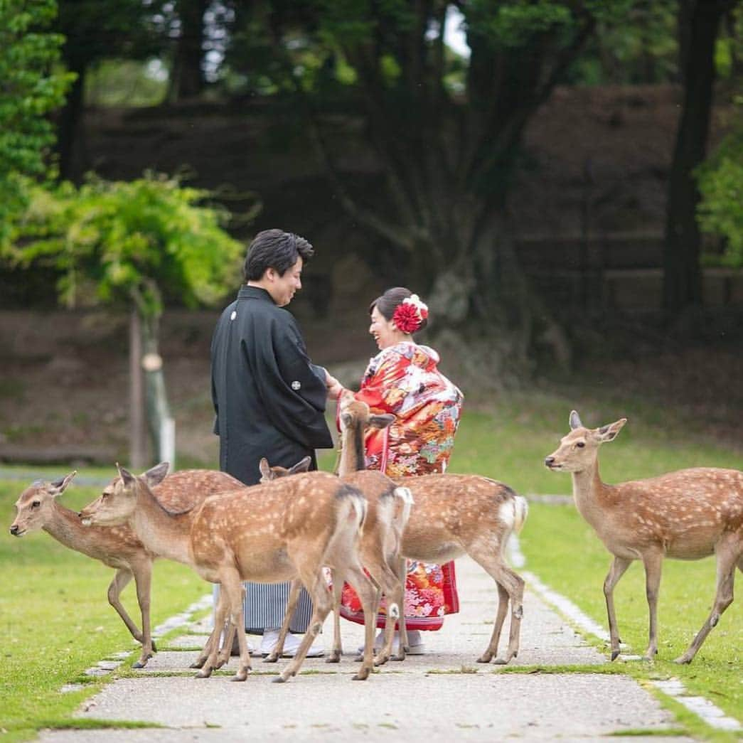 ゼクシィのインスタグラム