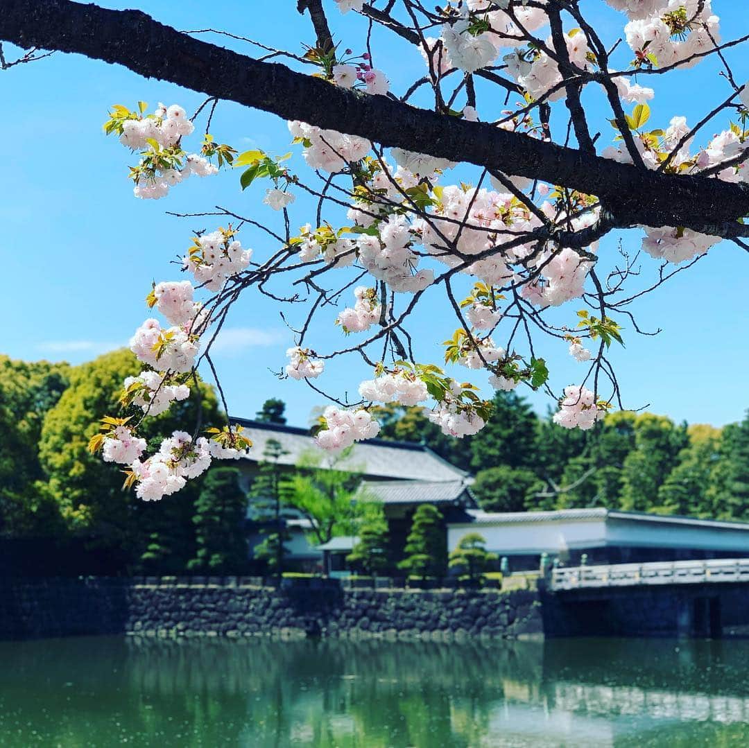 皇居ランナビのインスタグラム：「今日は暑いくらいの良いお天気ですね😁  皇居周辺も、桜のピンクより緑が色濃く映えるようになってきた気がします✨  皇居ランの際は水分補給を心がけ、熱中症に気をつけましょう！  #皇居ランナビ #皇居ラン #ミズノで皇居ラン #ミズノで女子ラン #ランニング女子 #ランニング #ハシリマスタグラム #ランナ#workout #instagood #run #jog #fitness #tokyo #imperialpalace #japan #走るひと #走る人 #followme #おもてなし #おもてなしランナー #running #runningday #jogging #marathontraining」