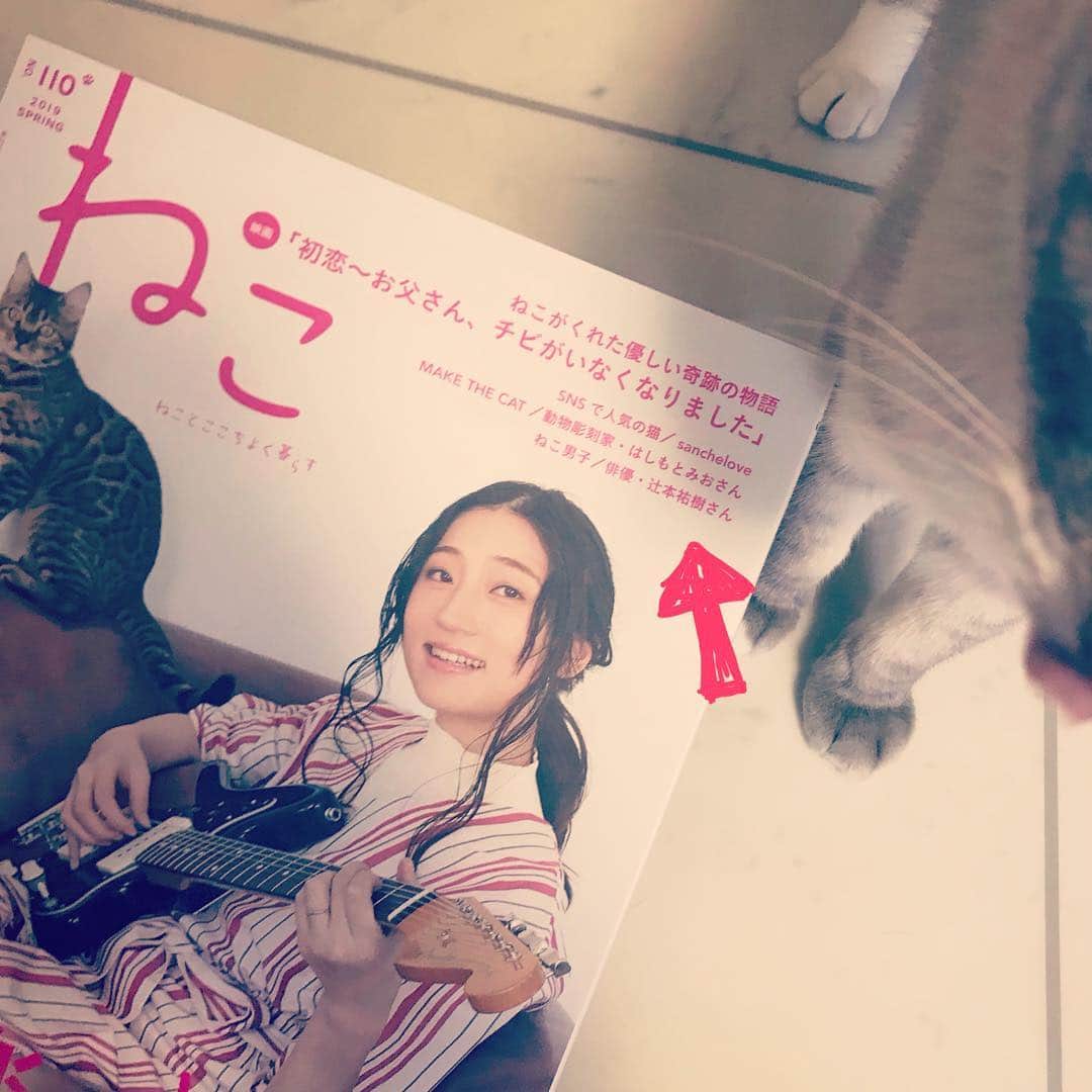 辻本祐樹さんのインスタグラム写真 - (辻本祐樹Instagram)「「ねこ」110号  さんの取材を受けました☆ 発売中です！！ヾ(^∇^) ぜひゲットして読んでください♪  #ねこ #ねこ110号 #辻本祐樹 #猫 #cat #猫雑誌  #猫俳優」4月16日 12時47分 - tsujimotoyuuki