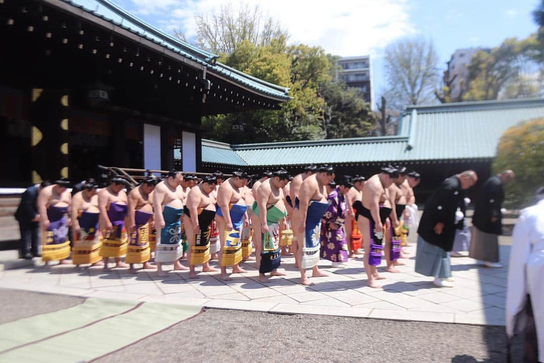 日本相撲協会さんのインスタグラム写真 - (日本相撲協会Instagram)「靖國神社奉納大相撲の様子。 理事長、巡業部長 副部長、幕内力士で参拝。 #sumo #相撲 #大相撲 #巡業 #春 #桜 #日本 #japan」4月16日 12時53分 - sumokyokai