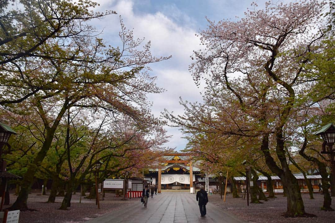 日本相撲協会さんのインスタグラム写真 - (日本相撲協会Instagram)「靖國神社奉納大相撲の様子。 理事長、巡業部長 副部長、幕内力士で参拝。 #sumo #相撲 #大相撲 #巡業 #春 #桜 #日本 #japan」4月16日 12時53分 - sumokyokai