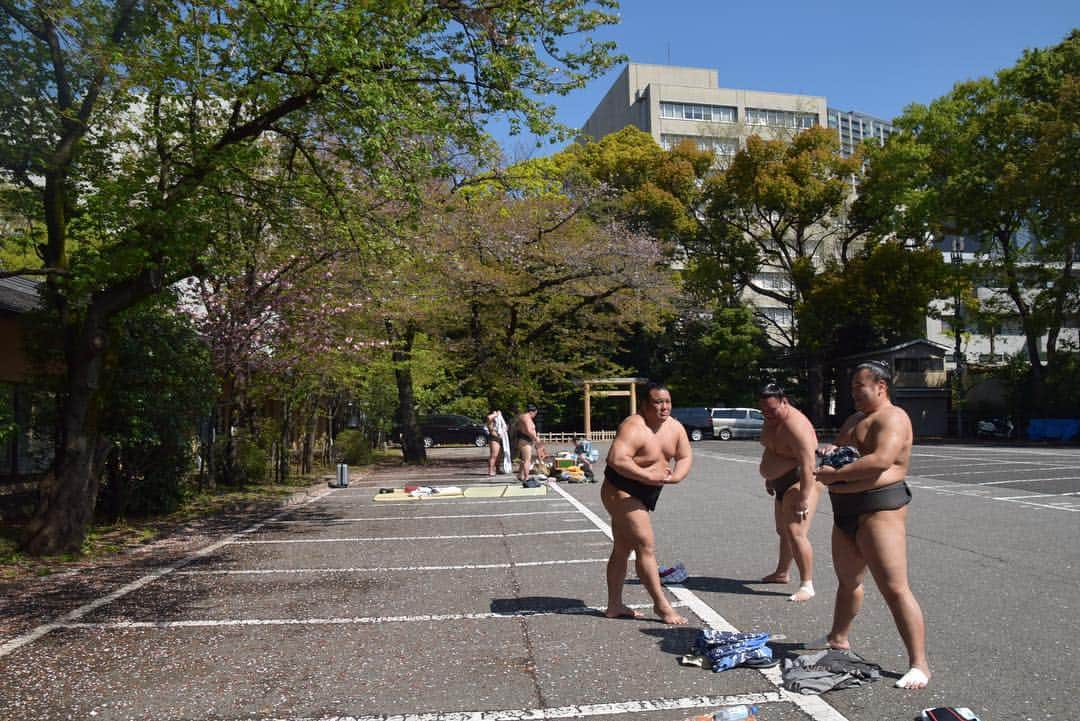 日本相撲協会さんのインスタグラム写真 - (日本相撲協会Instagram)「靖國神社奉納大相撲の様子。 理事長、巡業部長 副部長、幕内力士で参拝。 #sumo #相撲 #大相撲 #巡業 #春 #桜 #日本 #japan」4月16日 12時53分 - sumokyokai