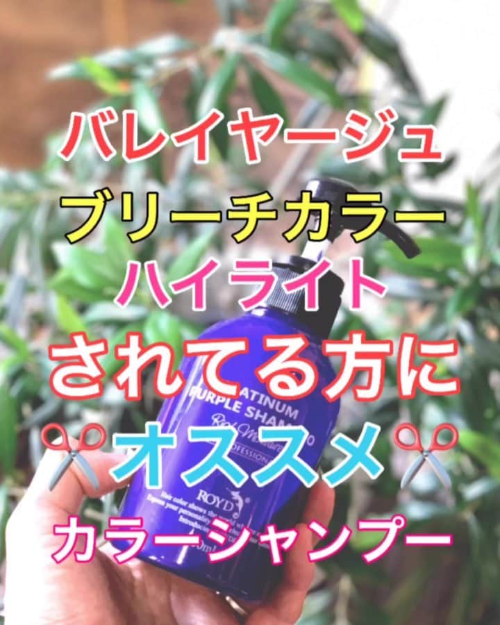 鶴谷和俊のインスタグラム：「【カラーシャンプー】バレイヤージュ、ハイライト、ブリーチカラーをされた方にオススメ✂️カラーシャンプー🧴 ・ カラーの色持ちに特化したものになります‼️ 優先順位がカラーの色持ちを重視する方にオススメ🙋‍♂️ ・ ☆買う際は、必ず美容師さんに 何系のカラーにしたか 確認してください。 青なのか？赤なのか？緑なのか？ 美容師さんが作った 雰囲気カラーの名前ではなく 例のようなわかりやすいカラーを 聞いてください✂︎ 例 ×ラテ、ミルクティー、クリーミー ○アッシュ、マット、レッド、ピンク ・ ☆色の選び方 ロイドの場合 ・アッシュ、青系に染めた方は ☆シルバーシャンプー ・マット、緑系に染めた方は グロッシーブラック ・ヴァイオレット系カラーにされた方、黄色くギラギラしたくない方は ブリーチされた方や ベージュ系カラーにされた方は ☆ムラサキ ・ピンク、レッド、ピンクブラウン系に染めた方は ☆ピンク ・ブラウン、オレンジ系に染めた方は ☆ヴァージンブラウン ・ ☆使い方 ①手に広げて毛先から丁寧に泡立てる。 ②普段通りシャンプーしてください。 泡に原色の色味がなくなり、白っぽく泡立っていればOK。 ③1分から2分放置 ④しっかり洗い流す。 ⑤シャンプー後は、リンス、コンディショナーを使うのがオススメ。 シリコン入りが良い。 表面をしっかりコーティングして、色が抜けないようにする。 種類によって手触りは変わります。 ・ ダメージが気になる方は トリートメント ⇩⇩⇩⇩5〜6分放置。軽く洗い流す。 リンス、コンディショナーの 順にお使いください。 ・ カラーの色持ちが 【1番】気になる方は カラーシャンプーをオススメします。 購入は @royd.color.shampoo  #ROYD #カラーディップ #colordip #roydcolordip #ロイド #ロイドカラーシャンプー #シャンプー #トリートメント #シルバーシャンプー #シャンプーの仕方 #カラートリートメント #ムラサキシャンプー #カラー退色予防 #カラー #美容師」