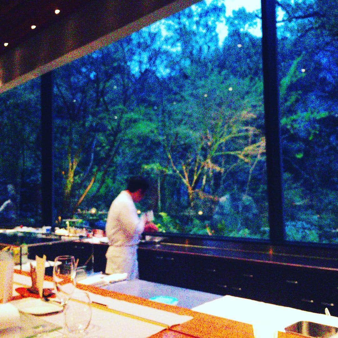 珠洲春希さんのインスタグラム写真 - (珠洲春希Instagram)「長い長いカウンターのオープンキッチンの向こうには緑が額の中いっぱいに広がります。  日が暮れてライトアップされる緑も、それはそれは美しいです。 お食事も、とっても美味しいです☺️」4月16日 13時11分 - harukisuzu54