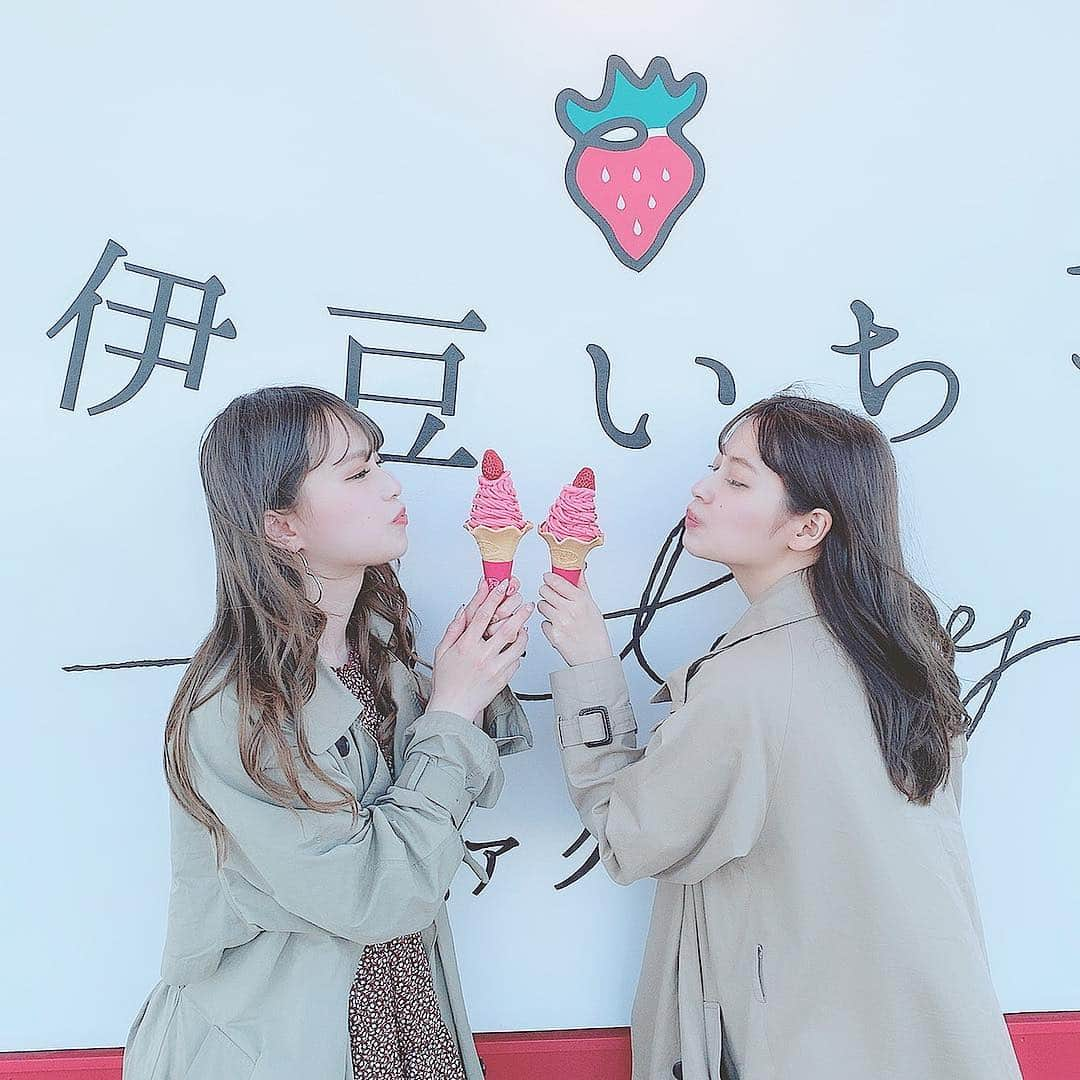 矢田伶華さんのインスタグラム写真 - (矢田伶華Instagram)「🍓🍦 . ♡🍓伊豆いちごファクトリー🍓♡ . 名前だけで、勝手にいちご狩りって 想像しとったら全然違った！！（笑） . めちゃインスタ映えなところでした🌸 . このいちごのソフト酸味があると思って 食べたら、結構甘めでした❤︎❤︎ 見た目めっちゃかわいい( ˶˙º̬˙˶ )୨♩ . . . #TaVision #タビジョン #旅 #女子旅 #旅行 #観光 #静岡 #静岡旅行 #静岡観光 . #伊豆 #伊豆ファクトリー #いちご #インスタ映え #フード #おしゃれ #グルメ #おしゃれグルメ #アイス #いちごソフト . #youtube #矢田玲華 . .」4月16日 13時12分 - reika_308