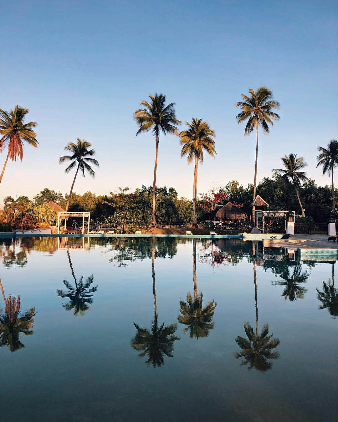 森暖奈さんのインスタグラム写真 - (森暖奈Instagram)「The beautiful reflection of palm trees🌴🥰」4月16日 13時35分 - moriharuna71