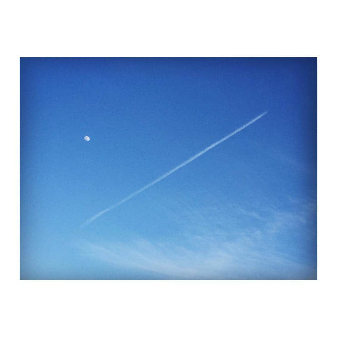 花村怜美のインスタグラム：「ちょっと珍しい組み合わせかも。 #空 #雲 #飛行機雲 #月 #夕空 #自然 #景色 #風景 #sky #vaportrail #cloud #clouds #cloudscape #cloudstagram #skystagram #moon #nature #japan」