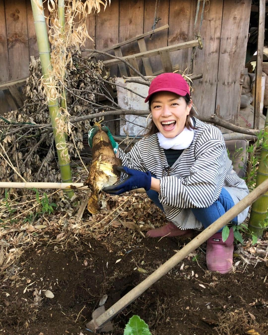 加藤紀子さんのインスタグラム写真 - (加藤紀子Instagram)「朝から畑でタケノコ掘り👩🏻‍🌾 随分大きなのが採れたので、 若竹煮にしたり筍ご飯にしたり♡ 初物嬉しいー！  #カトノリ農園 #たけのこの里も大好きですよ #左右手袋が違うのは気になさらず」4月16日 14時10分 - katonoriko