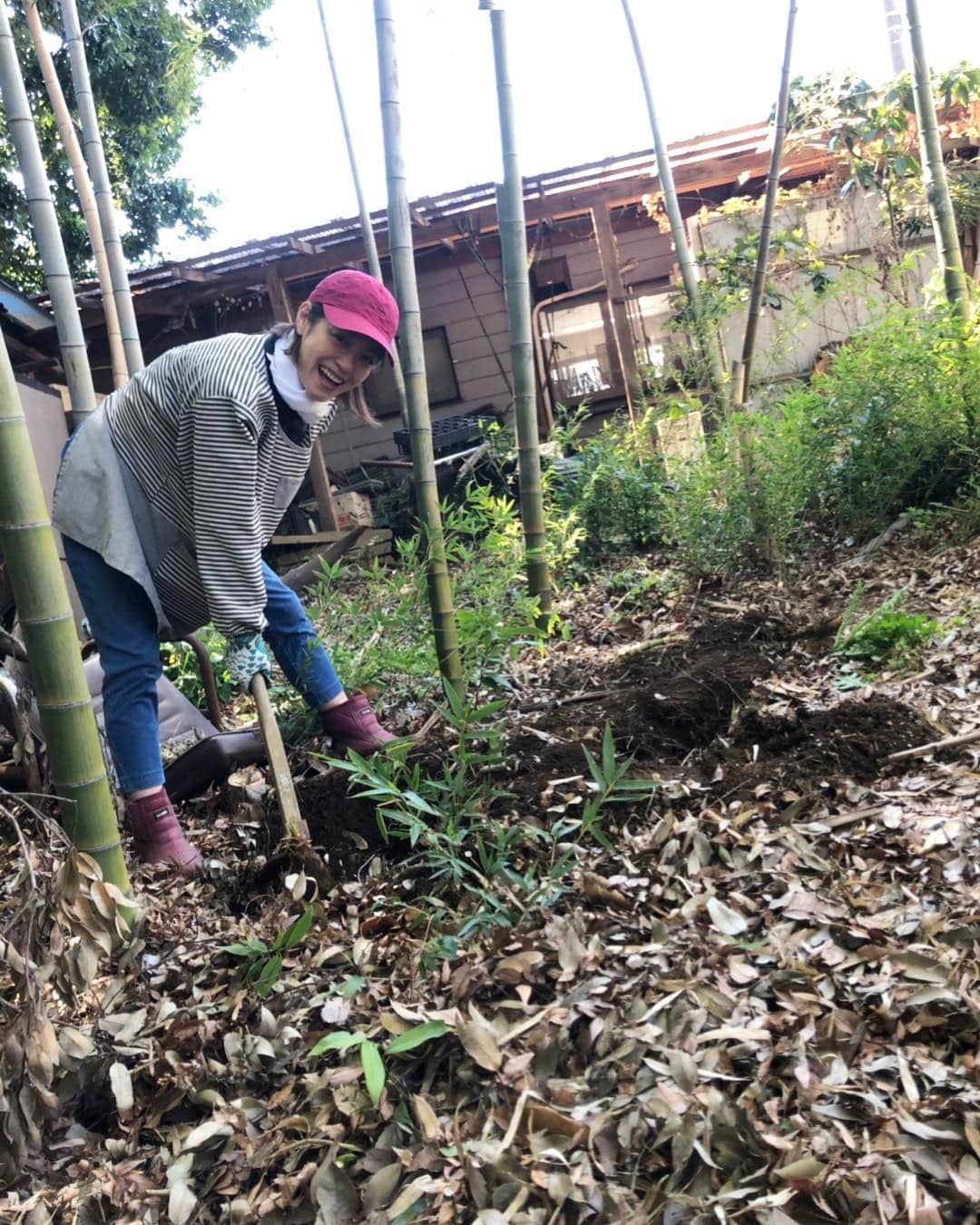 加藤紀子のインスタグラム：「朝から畑でタケノコ掘り👩🏻‍🌾 随分大きなのが採れたので、 若竹煮にしたり筍ご飯にしたり♡ 初物嬉しいー！  #カトノリ農園 #たけのこの里も大好きですよ #左右手袋が違うのは気になさらず」