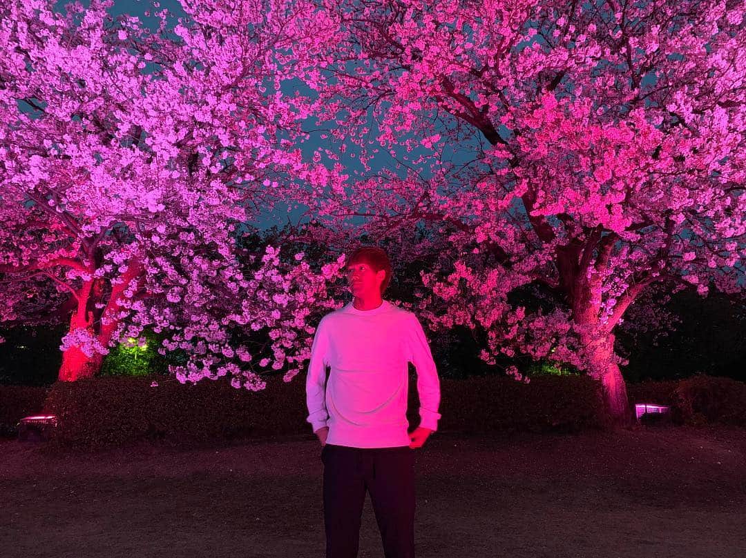 花井聖さんのインスタグラム写真 - (花井聖Instagram)「#この前の #夜桜ver #3枚目なんかやらしい #明日からまた頑張ろう」4月16日 14時11分 - sho___1110